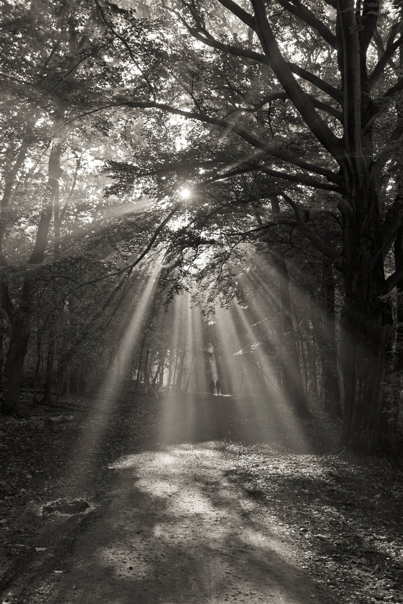 Natur © Heinz Kleim / KleimDesign