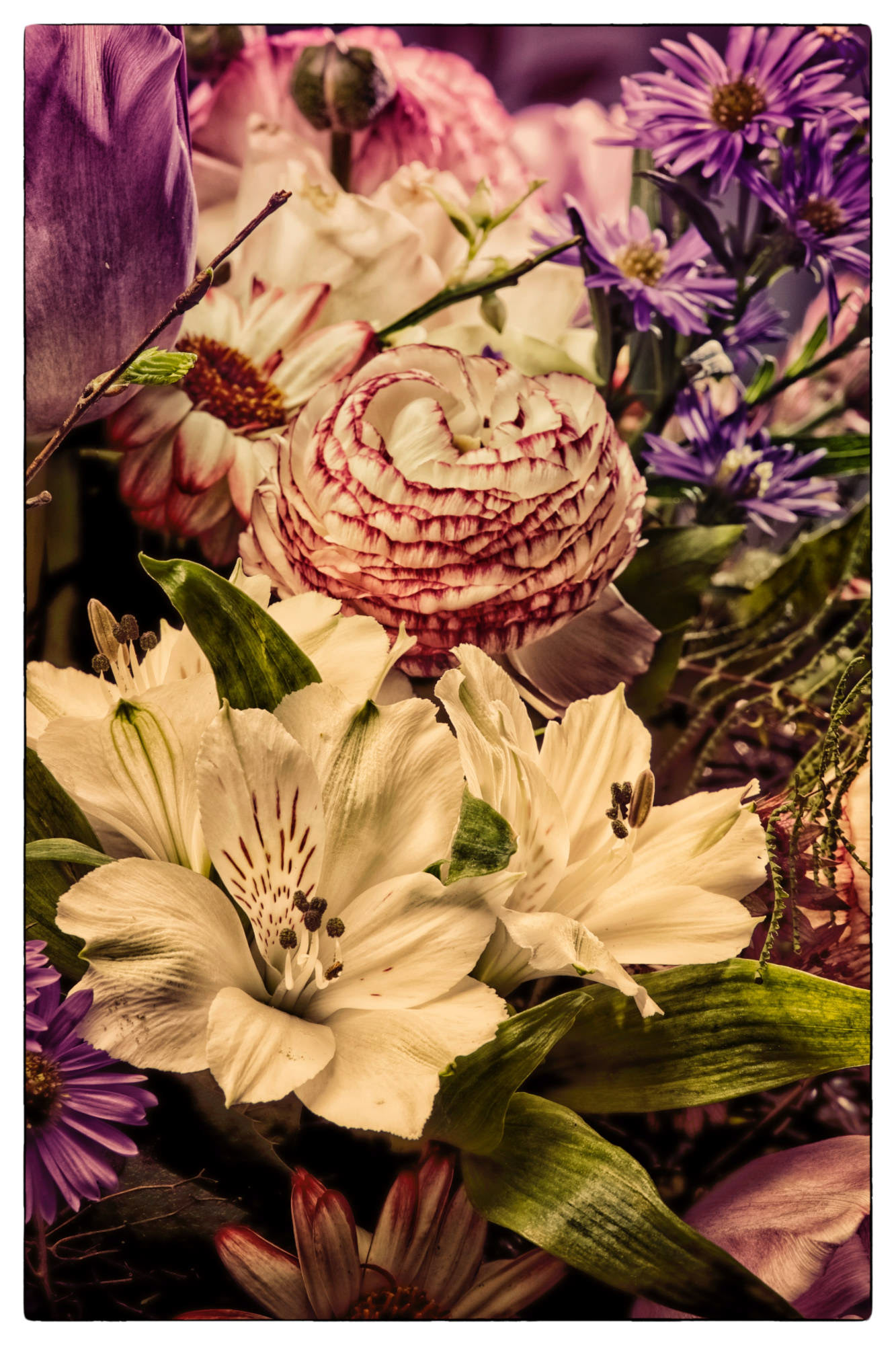 Natur © Heinz Kleim / KleimDesign