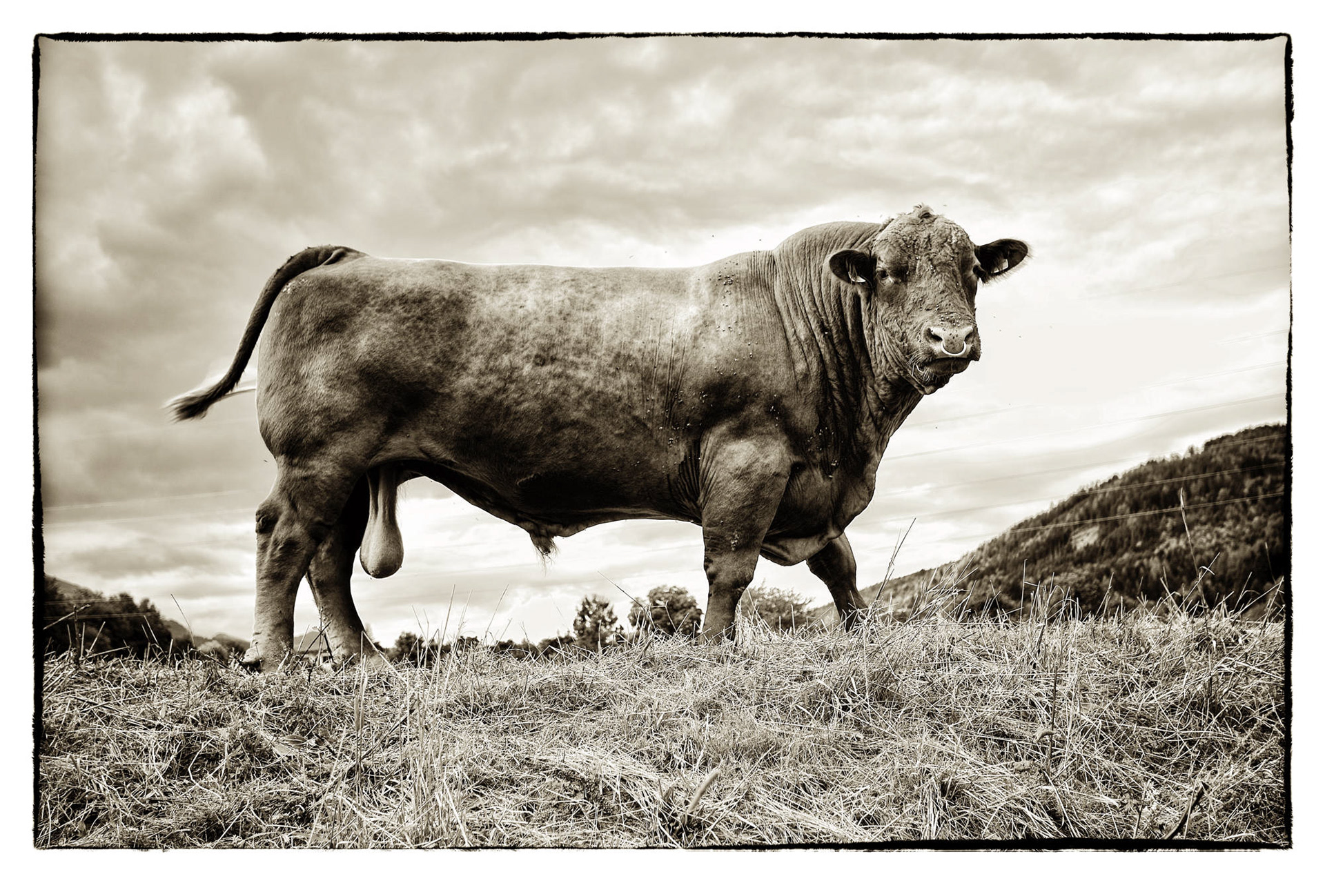  Kärnten - Österreich © Heinz Kleim / KleimDesign