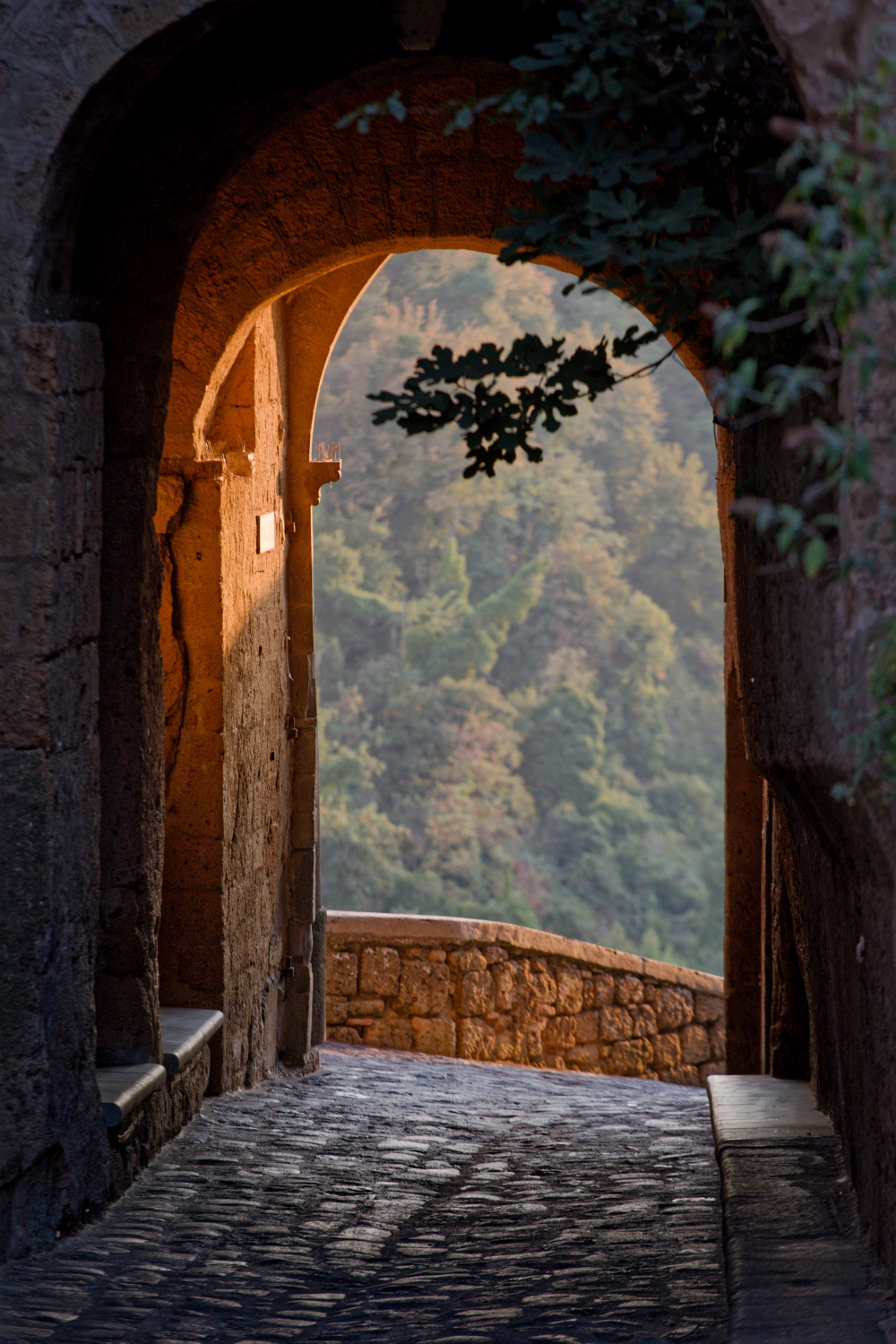 Bagnioregio