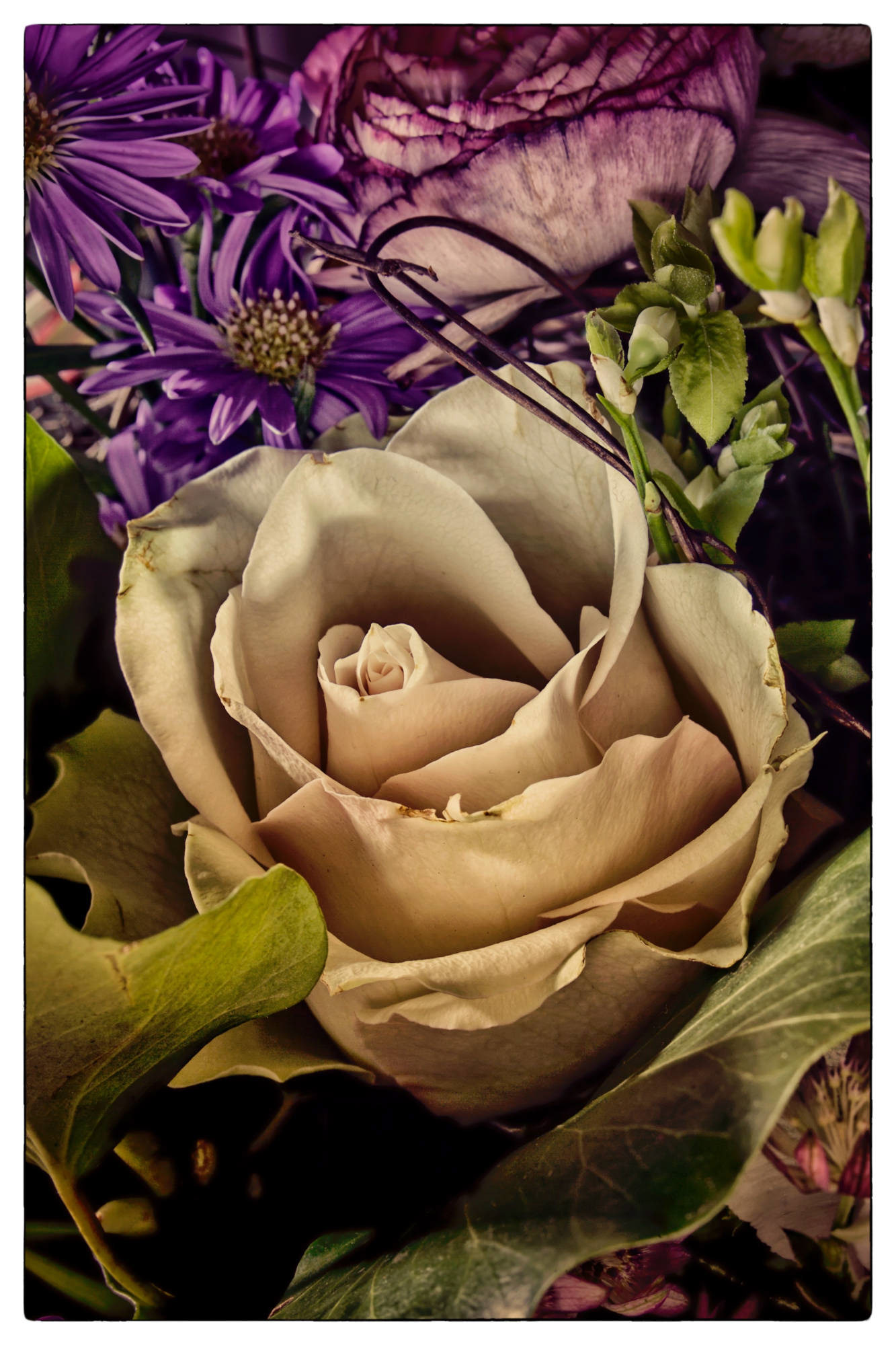 Natur © Heinz Kleim / KleimDesign