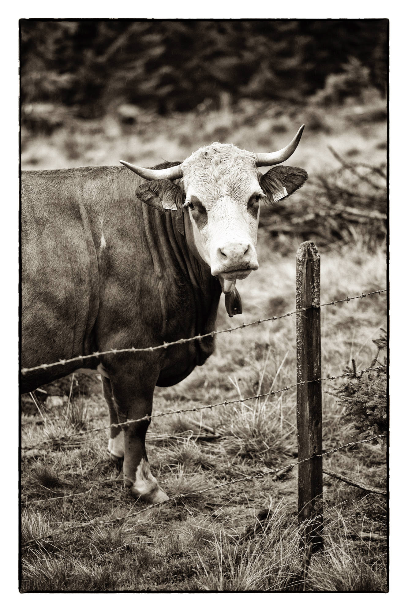  Kärnten - Österreich © Heinz Kleim / KleimDesign