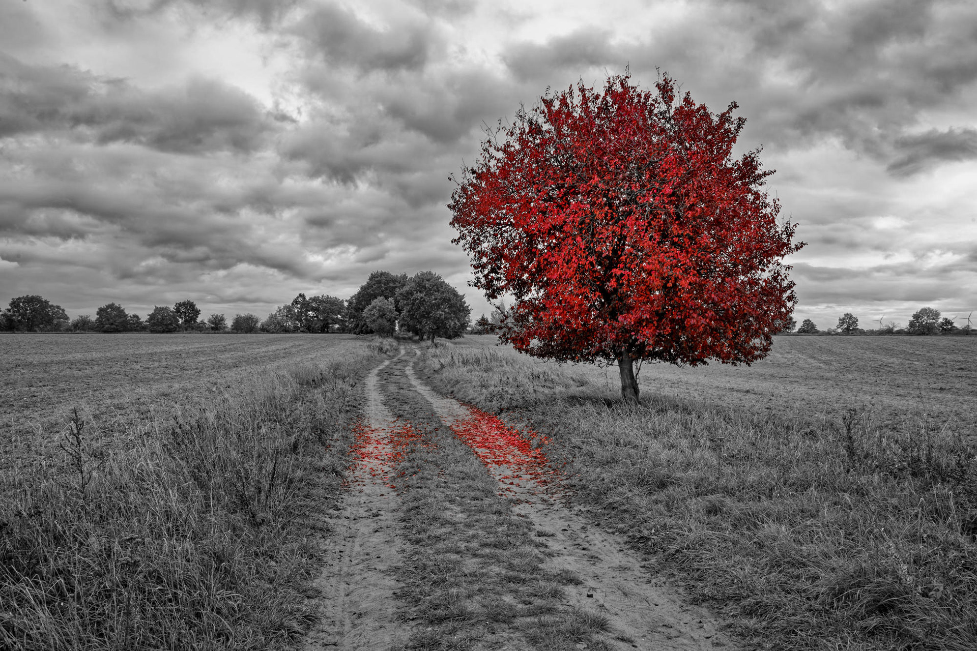 Natur © Heinz Kleim / KleimDesign