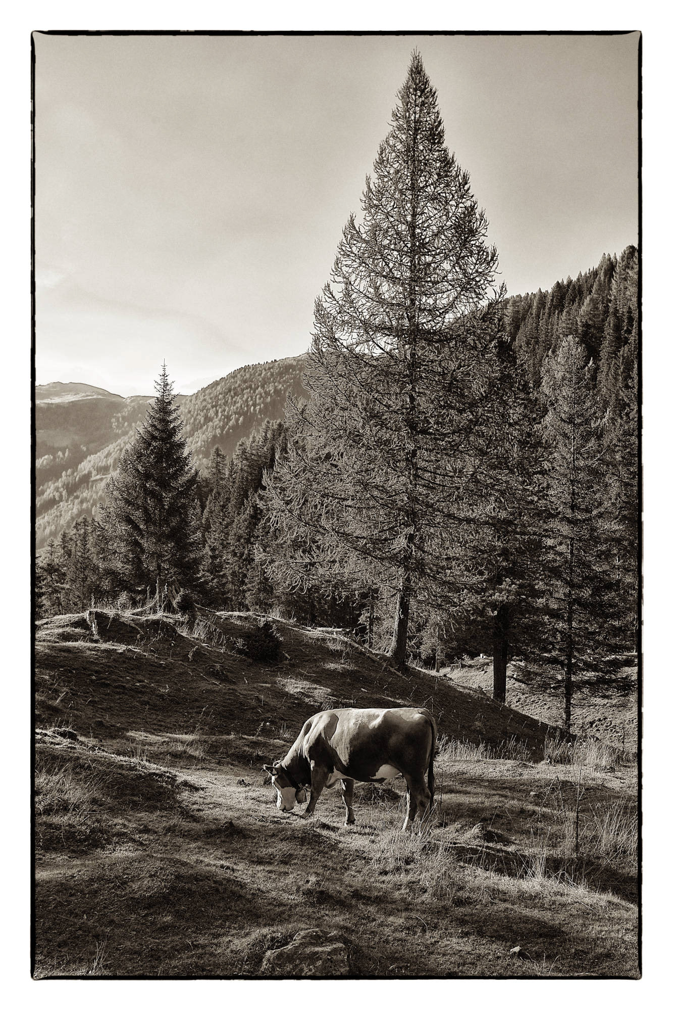  Kärnten - Österreich © Heinz Kleim / KleimDesign