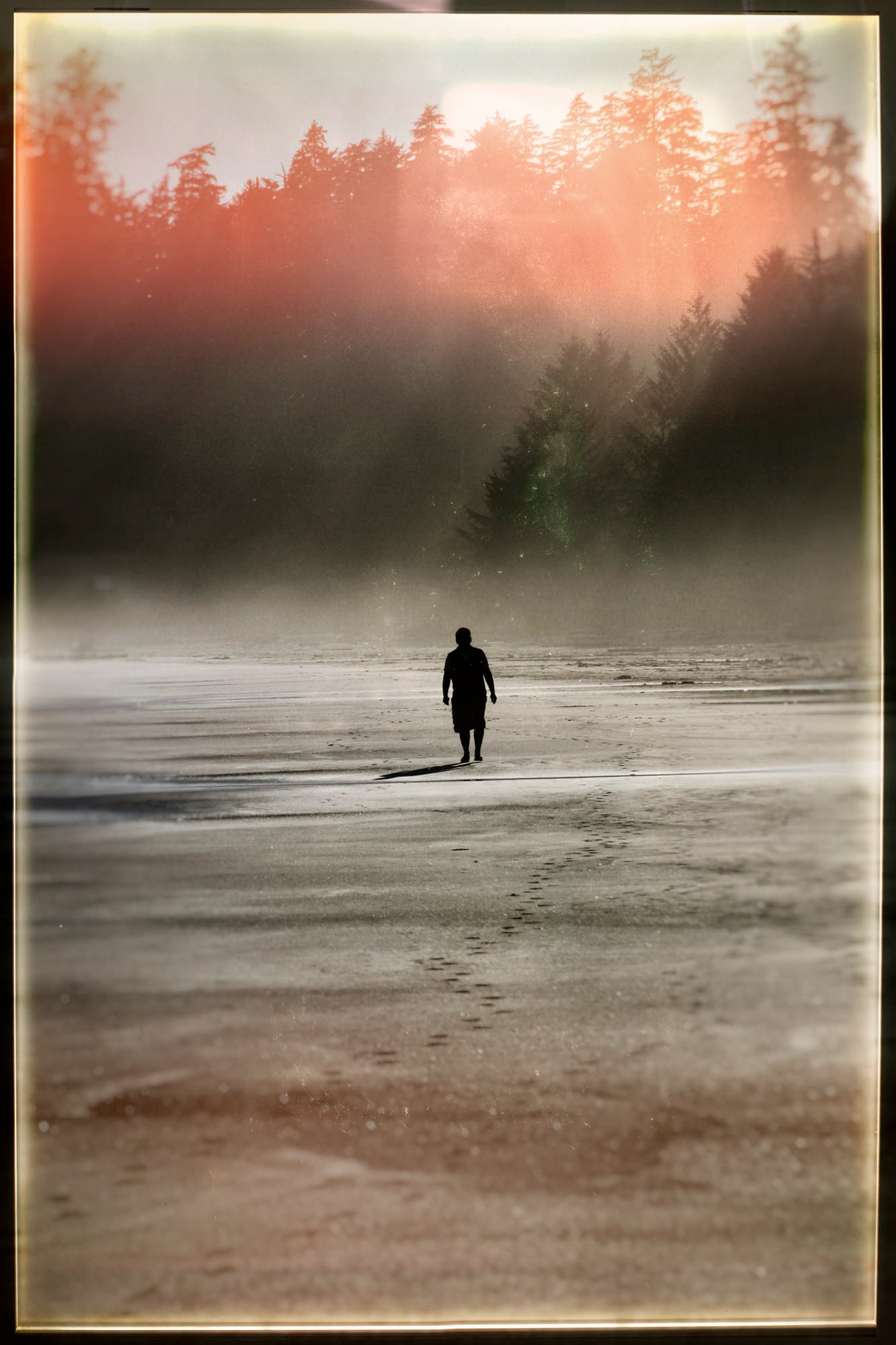 Vancouver Island © Heinz Kleim / KleimDesign