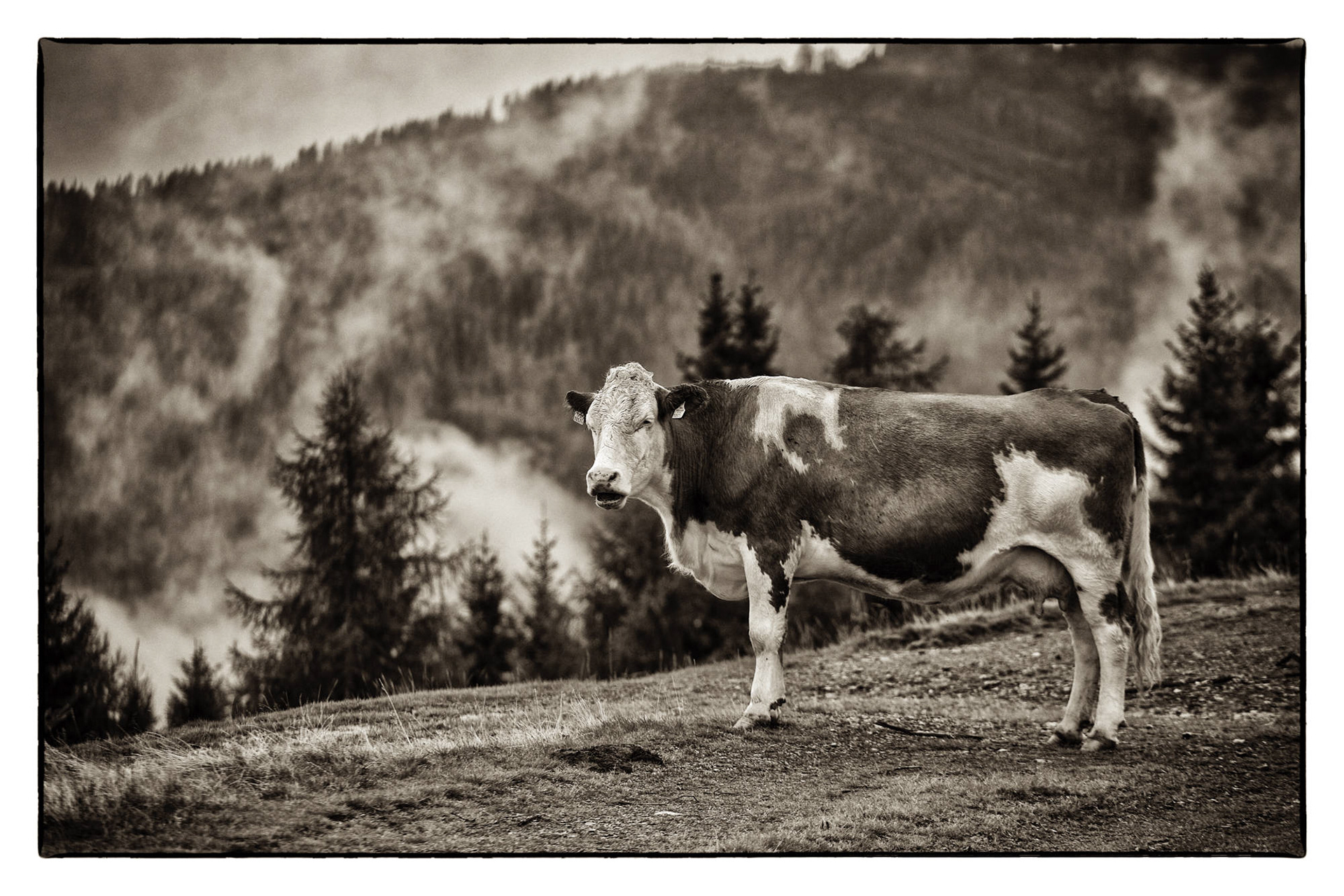  Kärnten - Österreich © Heinz Kleim / KleimDesign
