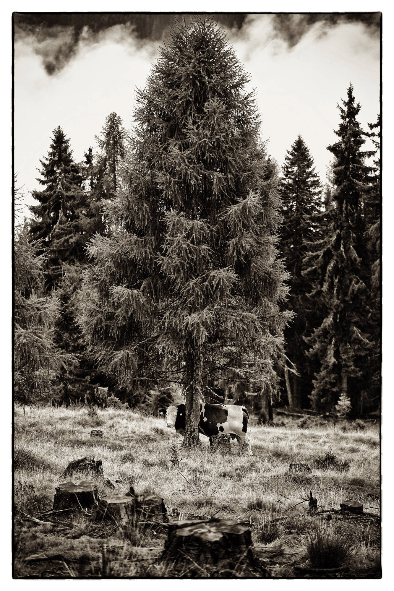  Kärnten - Österreich © Heinz Kleim / KleimDesign