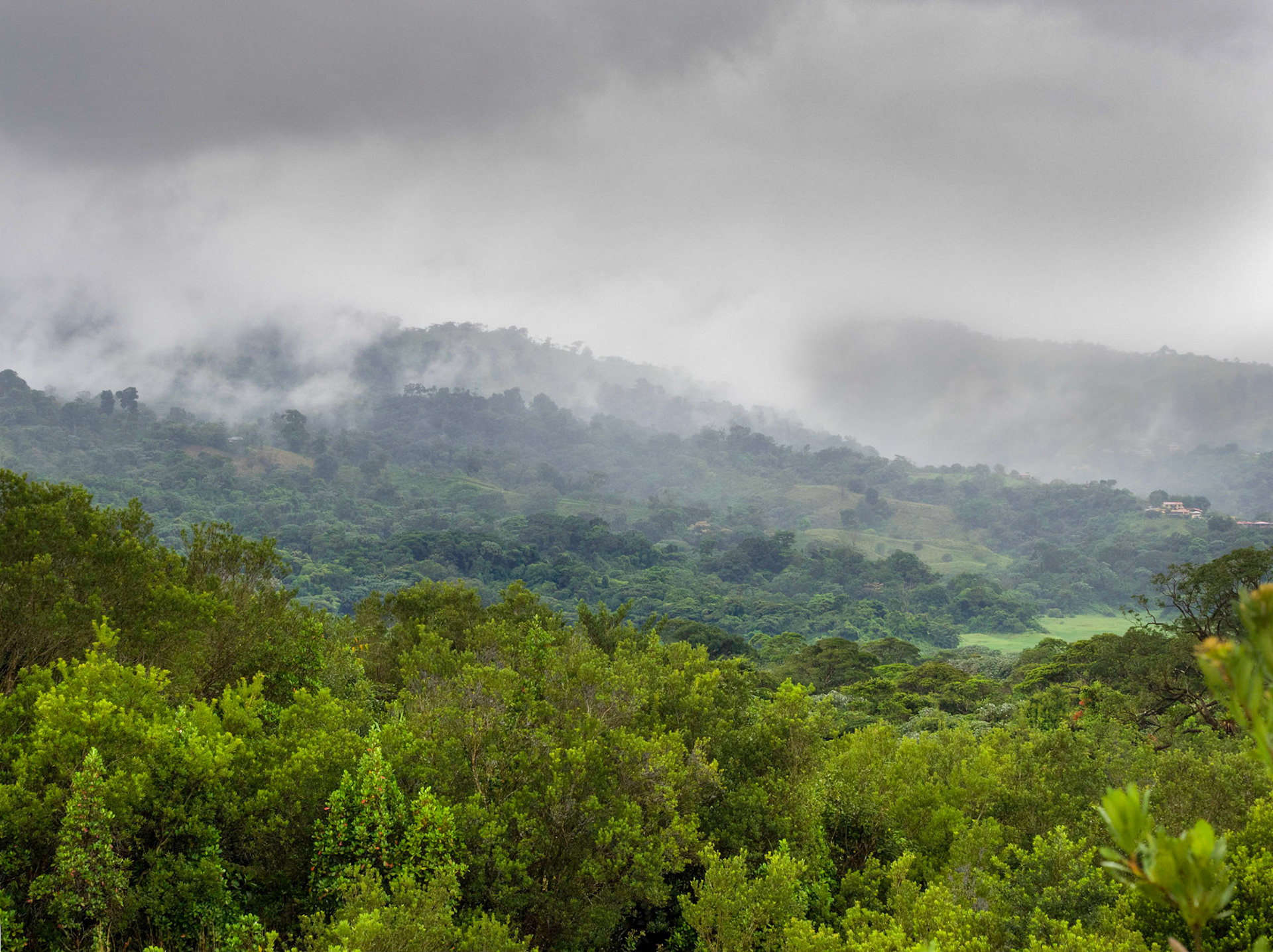 L'aventage du mauvais temps, c'est qu'il permet de voir des subtilités dans la foret primaire.
Arenal National Park, dans la dernière coulée de lave produite il y a 20 ans