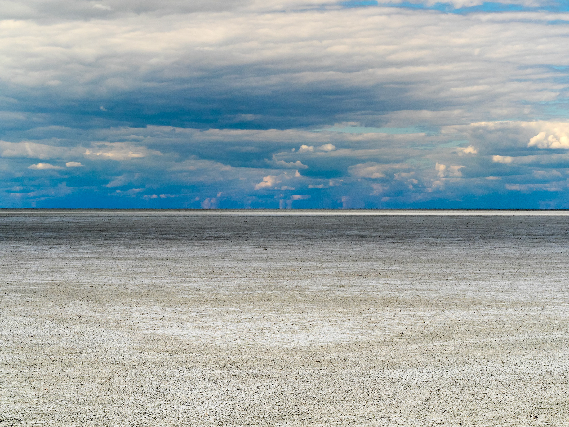 Sur le grand plan d'eau d'Etosha National Park