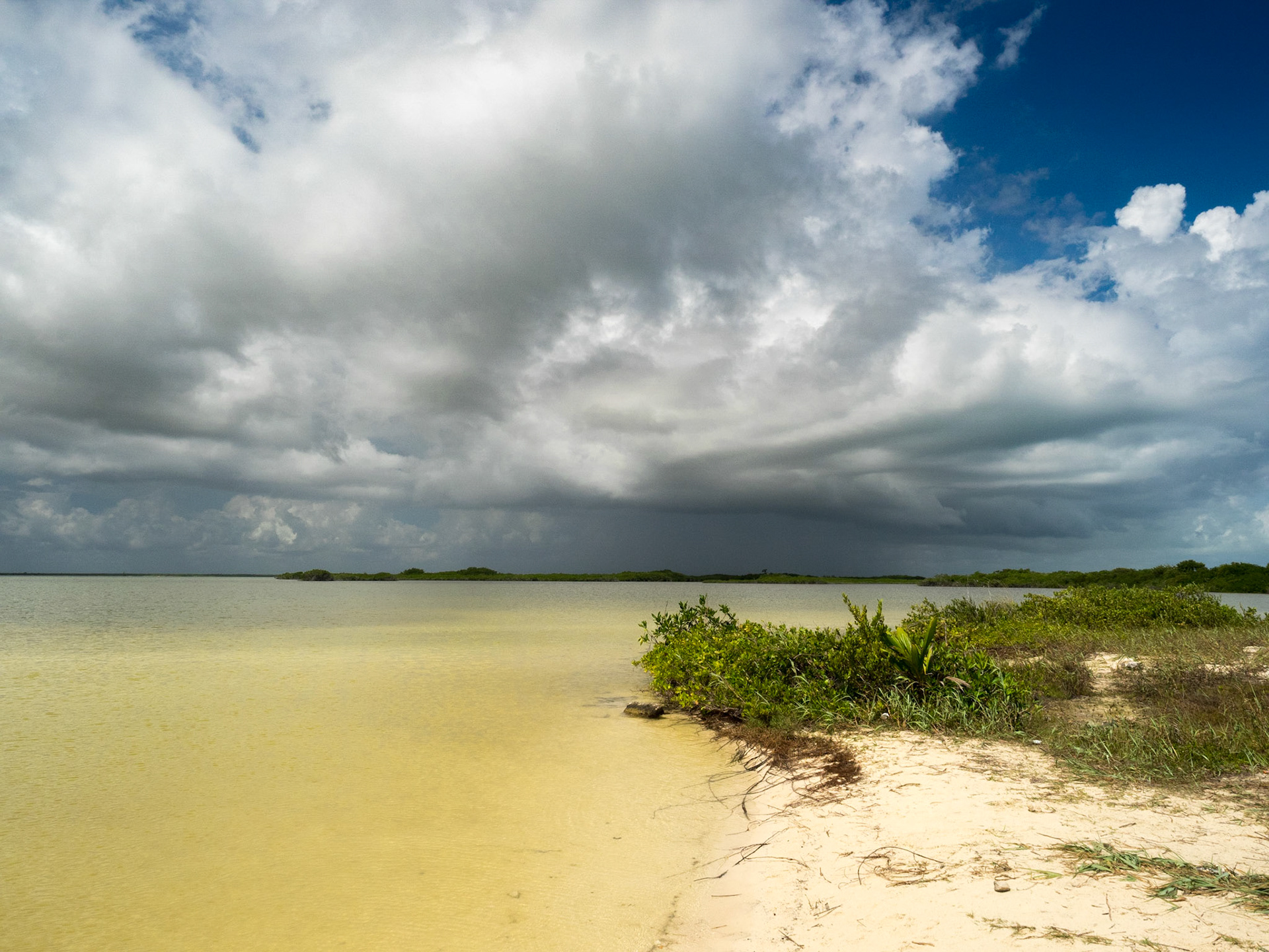 Le même endroit, côté lagune, antre des crocodiles.