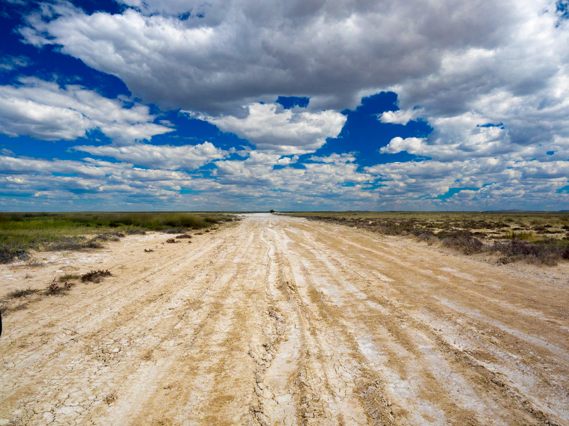 Etosha National Park