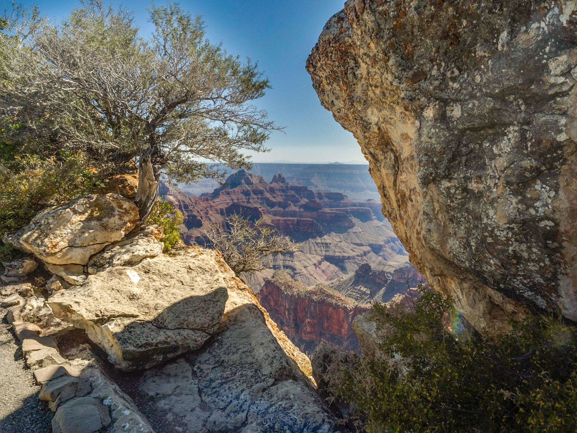 Grand Cnyon, North Rim, Arizona