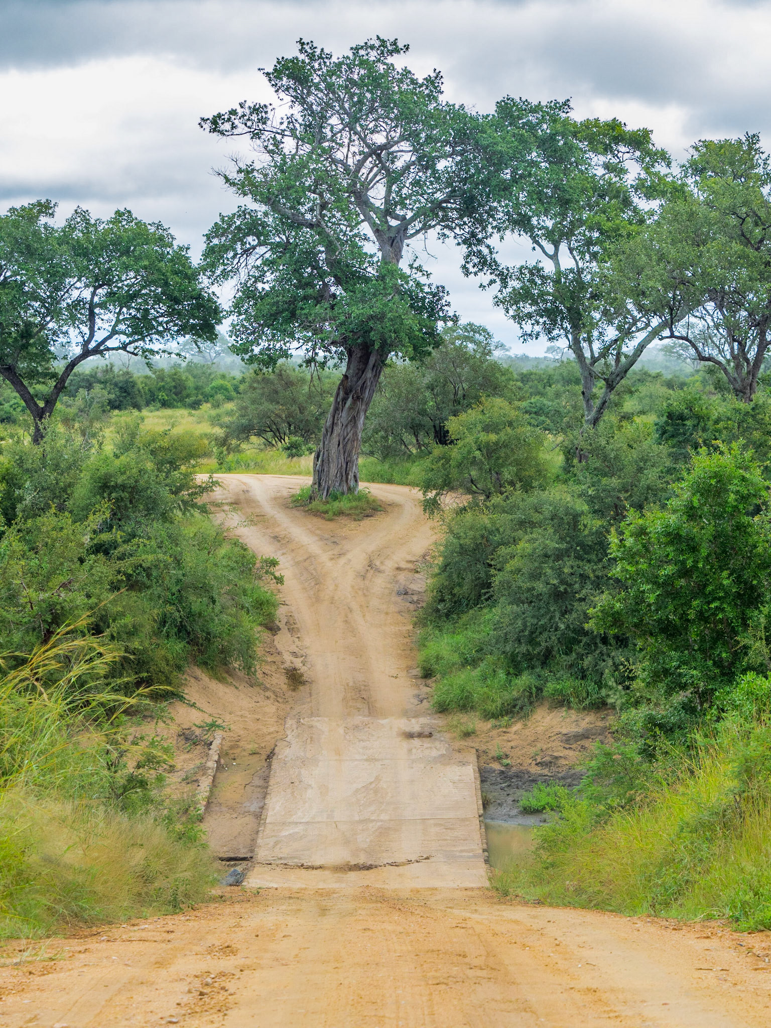Kruger National Park