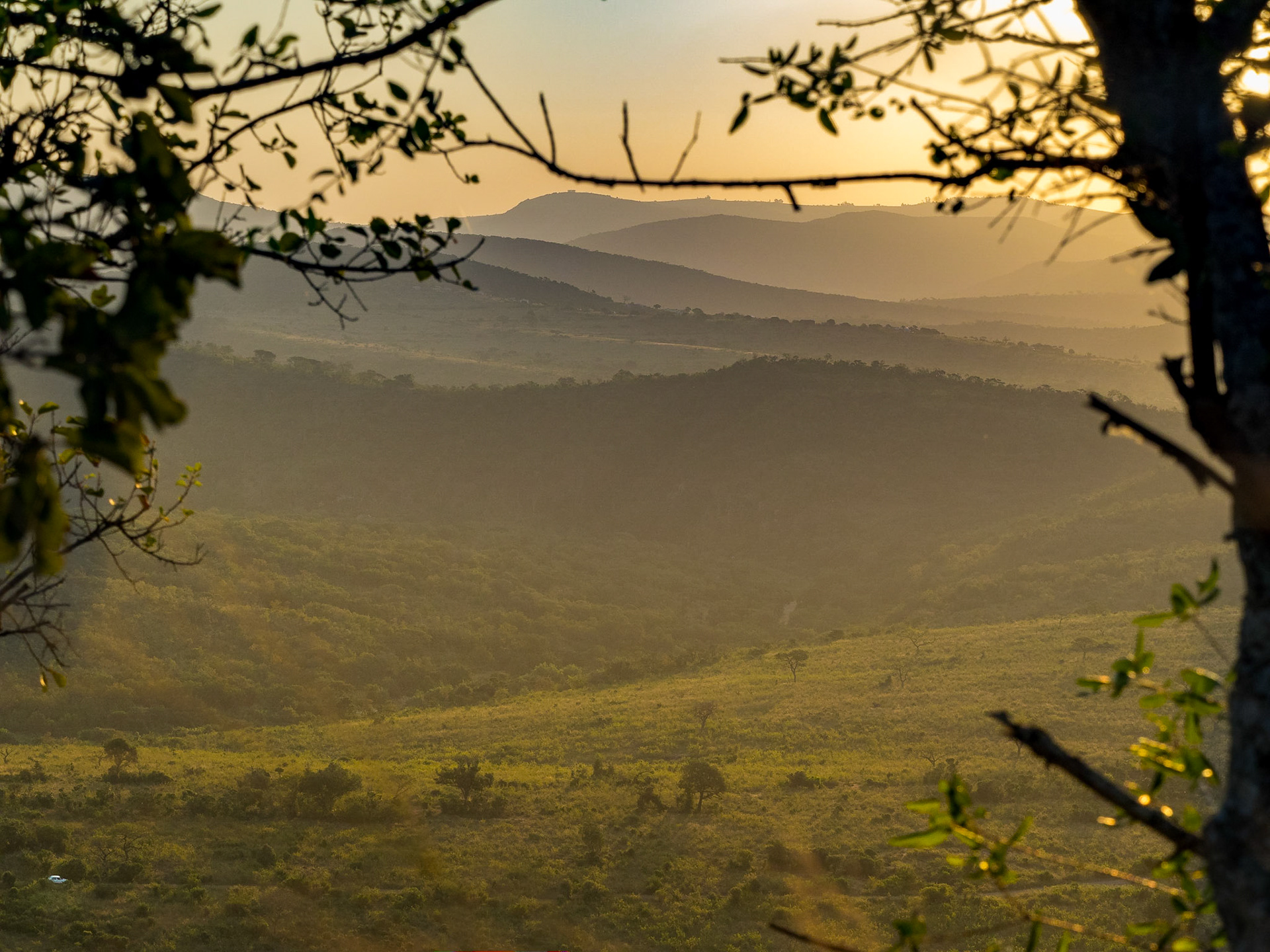 Le parc de Hluhluwe ufmolosi est disposé au coeurs de montagnes ondoyantes et végétalisées par un climat très doux et humide.
Le coucher du soleil est un régal, la traque aux animaux aussi !