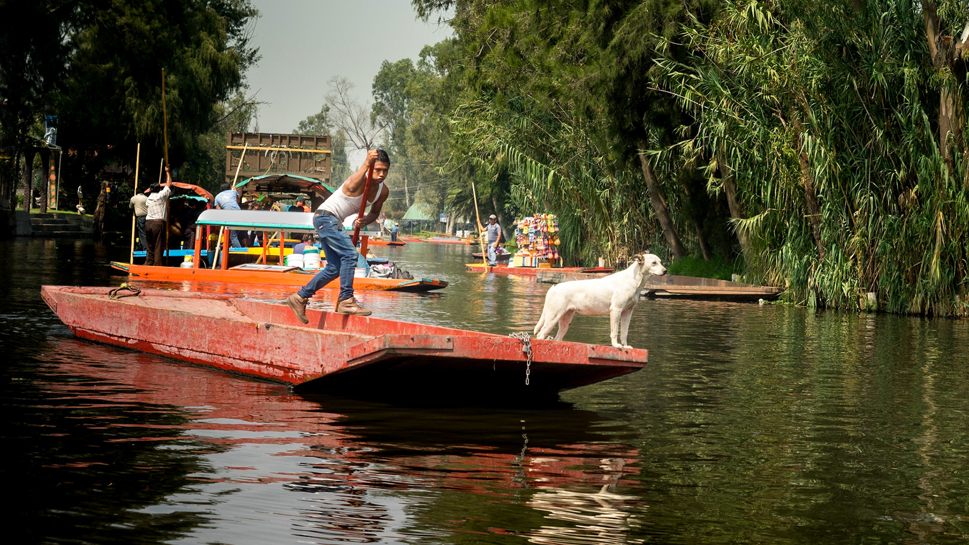 Xochimilco, les canaux créés par les mayas sur le lac. Aujourd'hui centre de fêtes de familles sur des bateaux.
