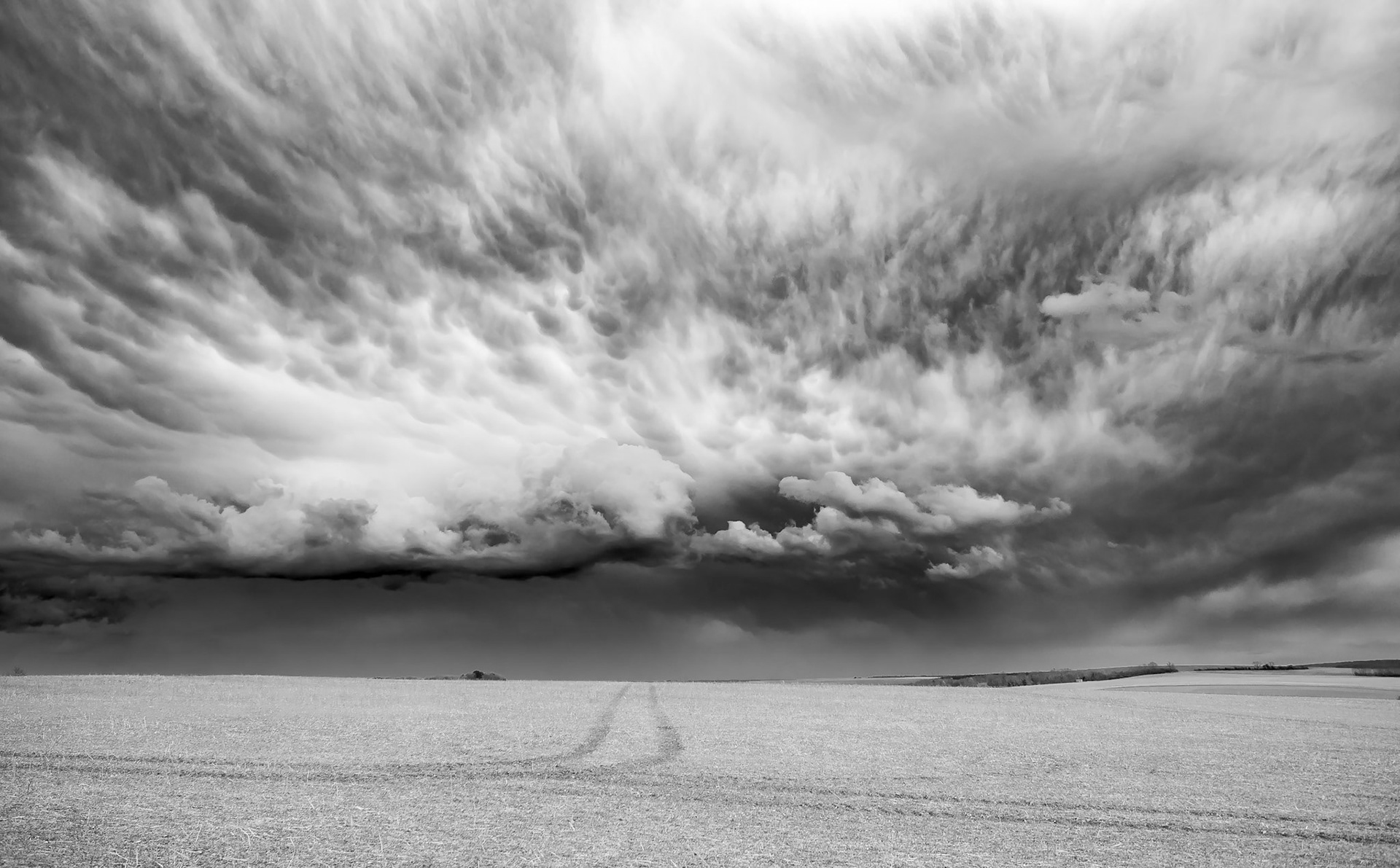 Le printemps est une période violente, où les éléments de l'hiver et de l'été luttent pour rester dans le paysage. Voici la guerre du chaud contre le froid, de l'humide contre les sec, de l'anticyclone contre la depression.Il suffit alors d'être là, et de contempler !Je ne suis que l'oeil, La nature fait le reste.Bourgogne, printemps 2016