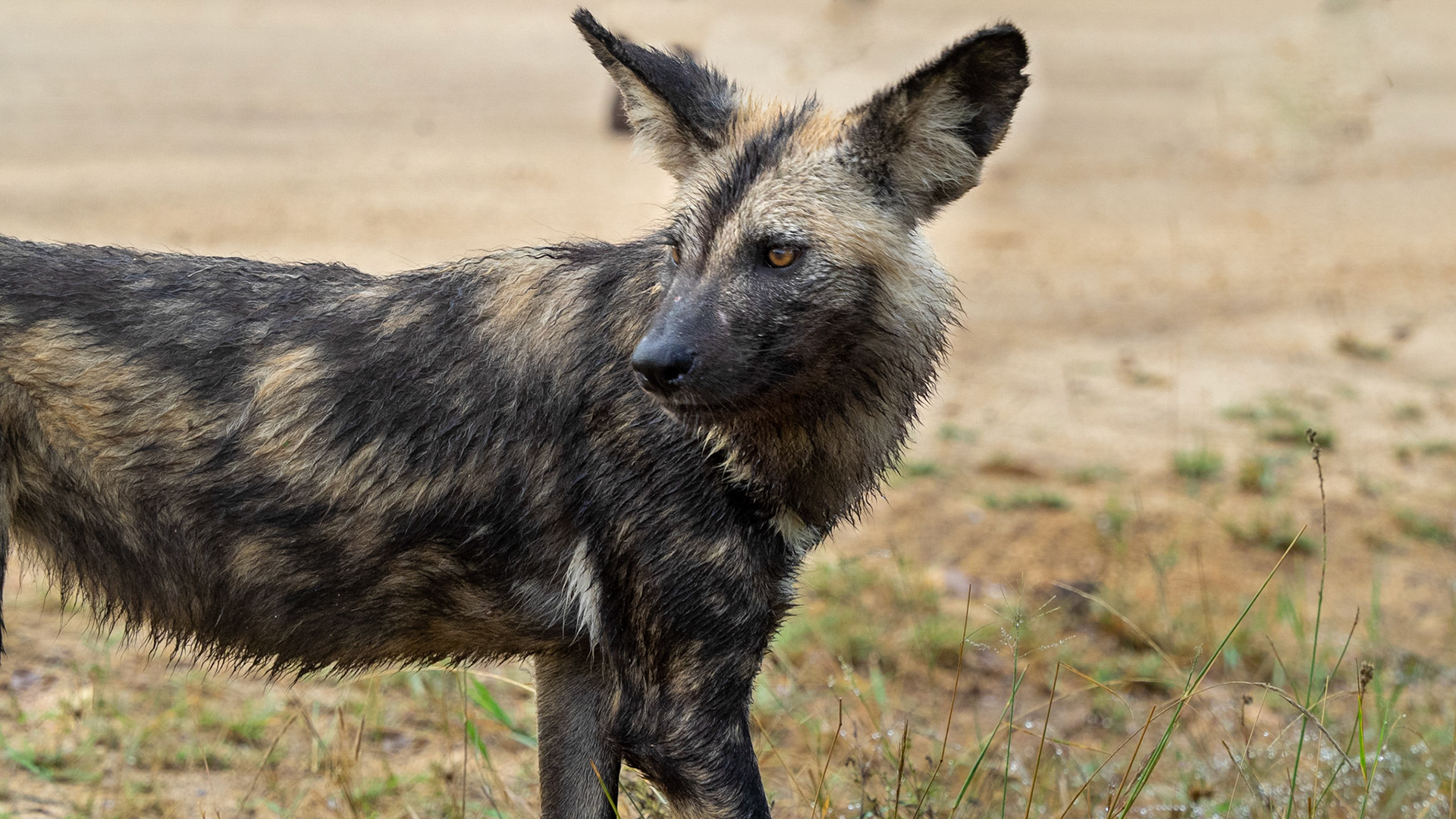 Kruger National Park