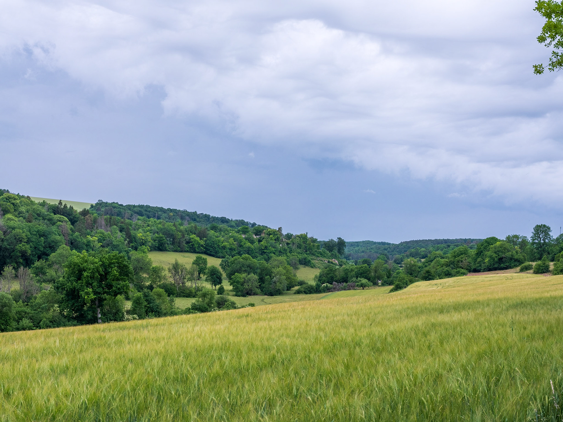 Bienvenue en Bourgogne