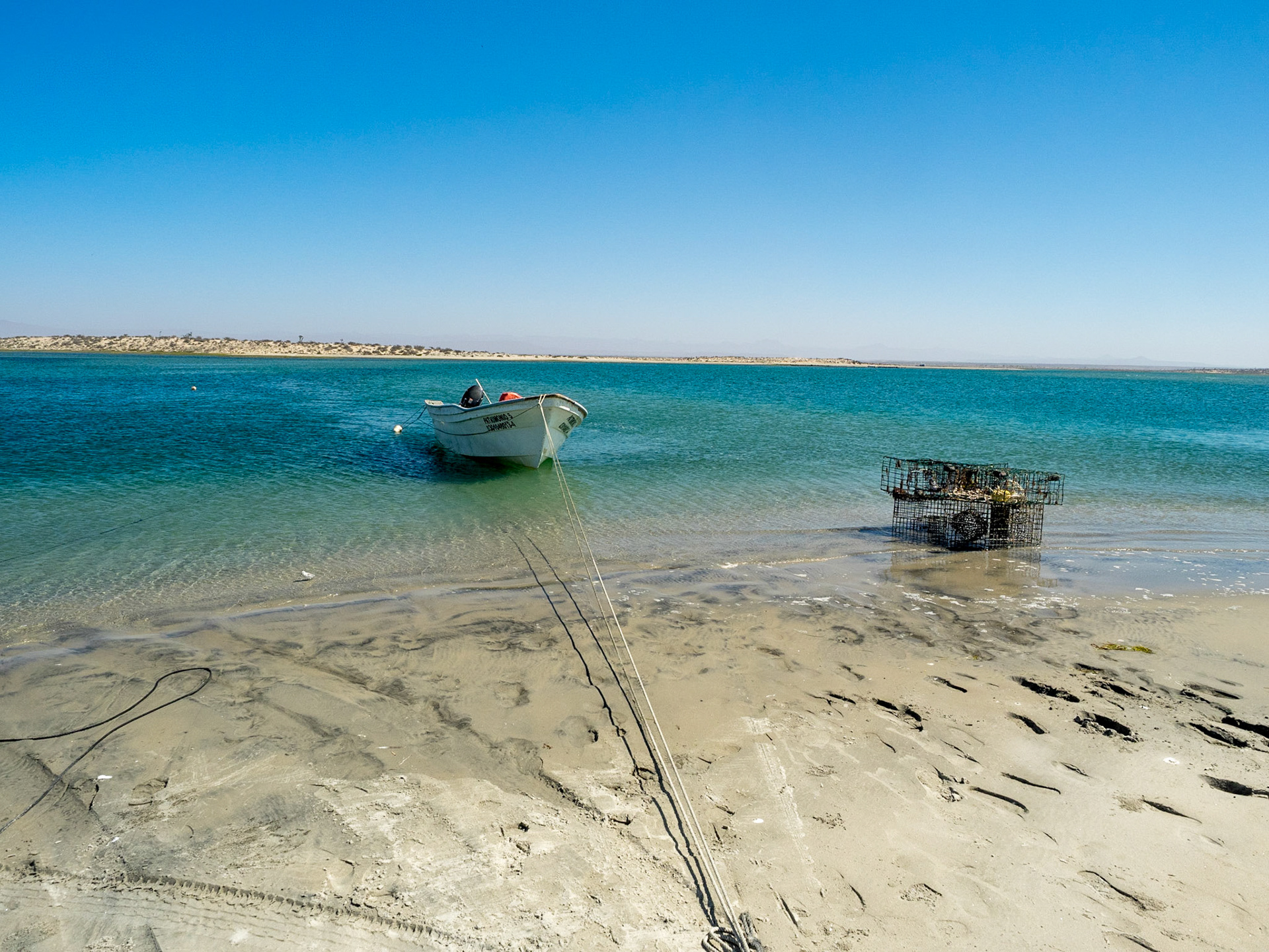 Les peêcheurs à la langouste avaient une autre activité ce jour là, ils convoyaients marins et négociants sur les bateaux de pêche à la crevette arimés au large.