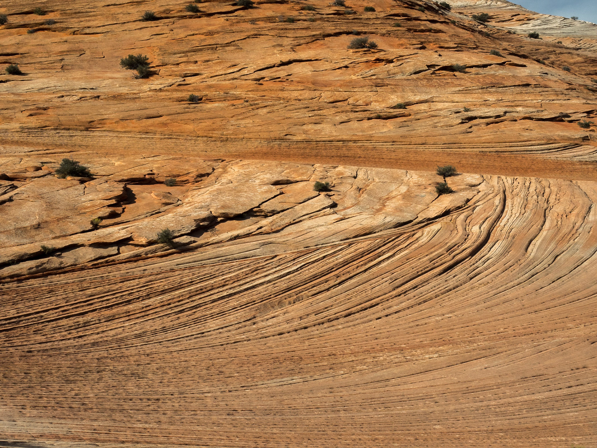 Zion National Park, Utah