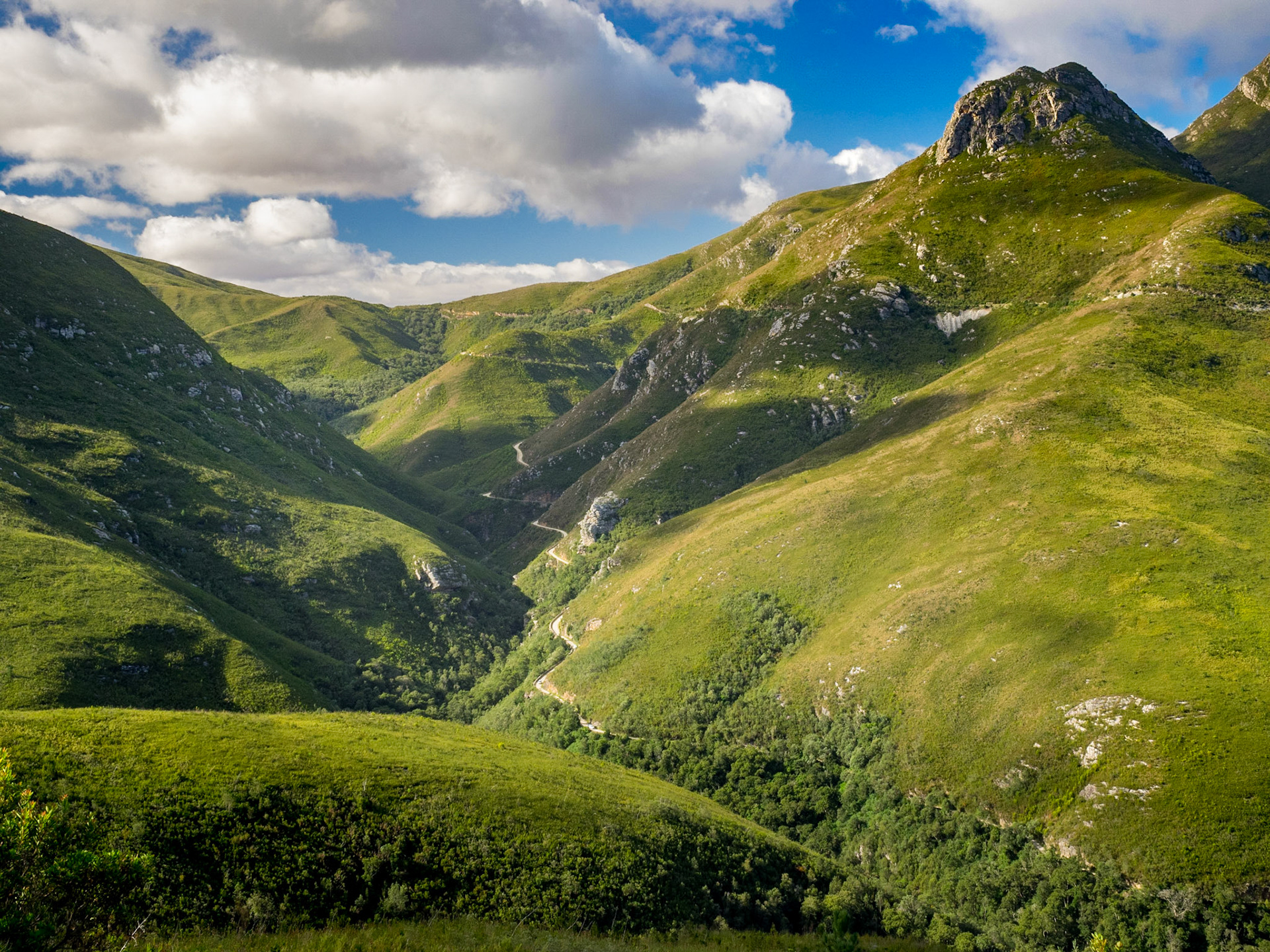 Witfontein Nature Reserve, sur la route vers Knysna