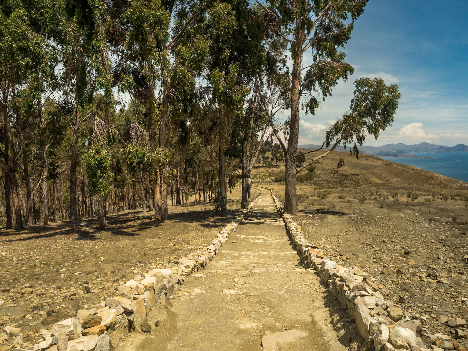 Le lac Titicaca, Isla del Sol, Bolivie