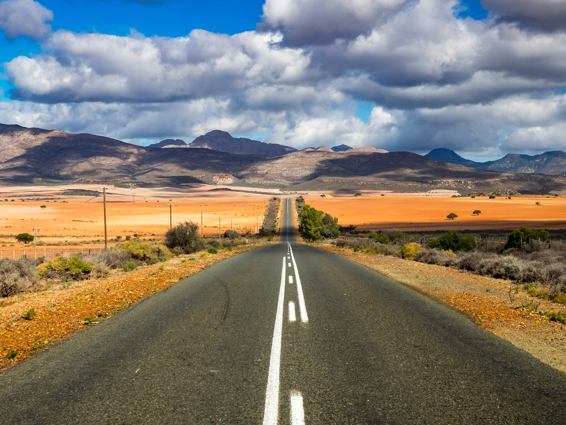 Oudtshoorn, sur la route vers Knysna, le jour des élections présidentielles !