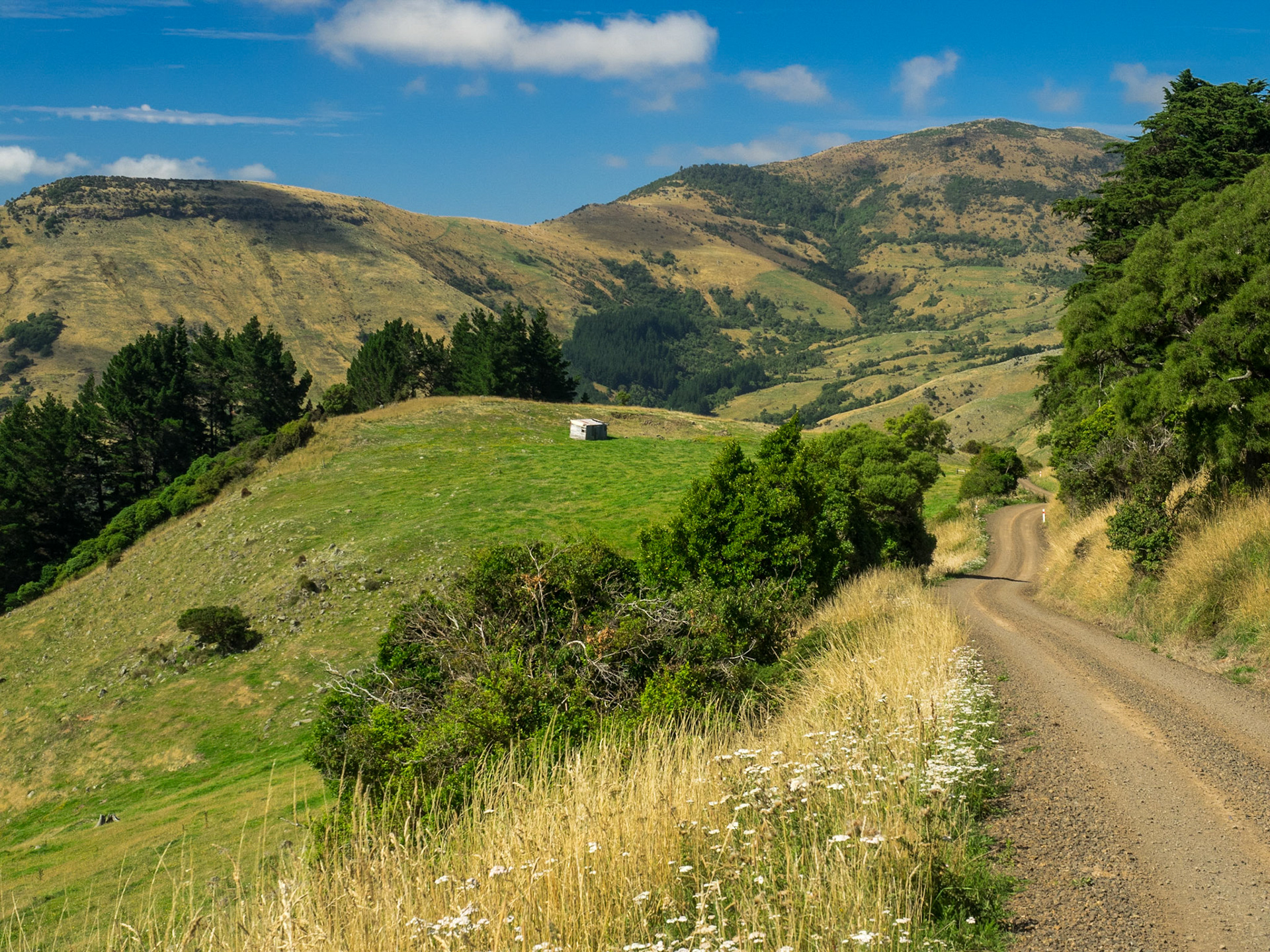 Banks Peninsula, sur les hauteurs, près de Pigeon Bay.