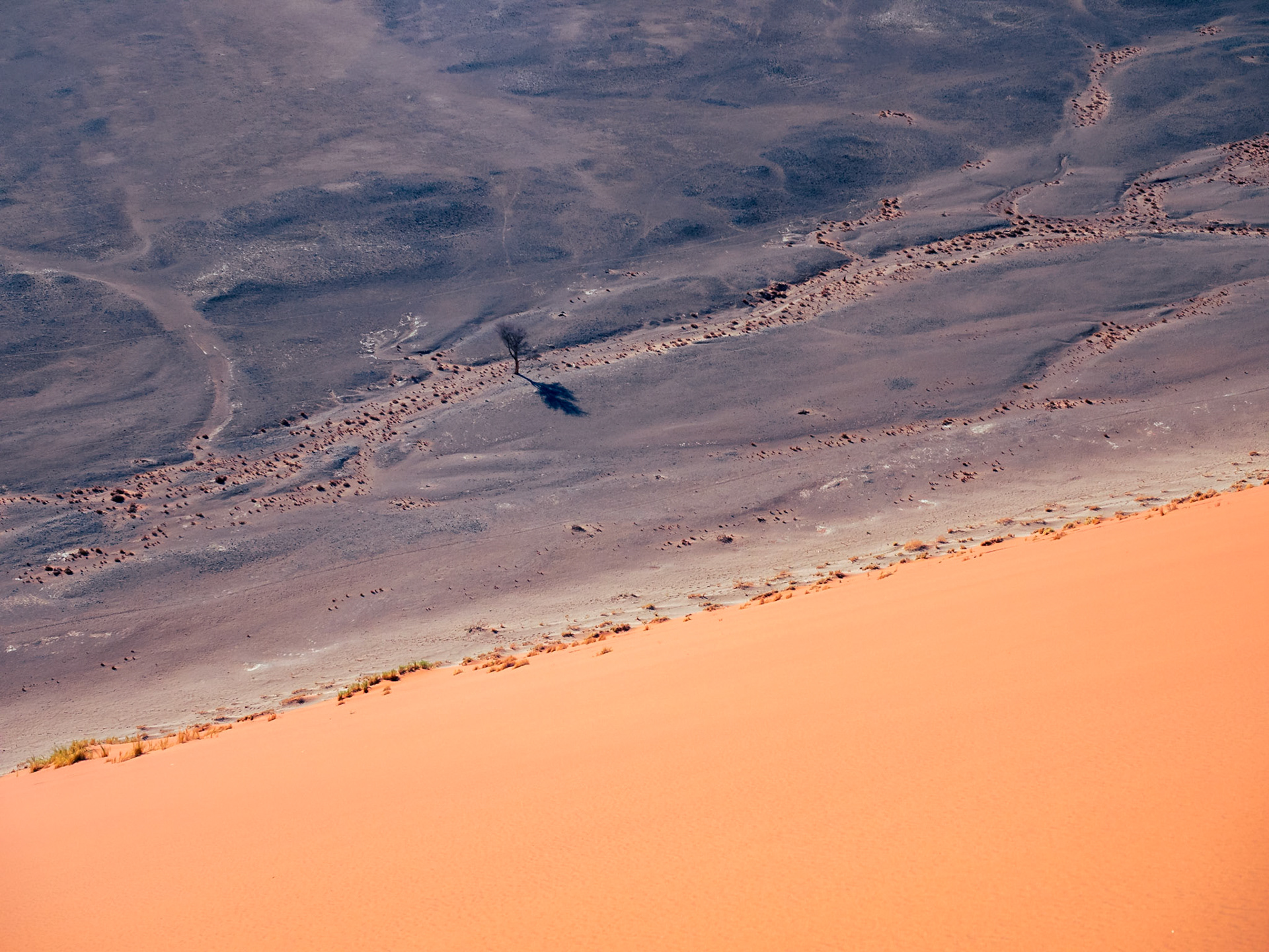 Etre un oiseau, Sesriem et Sossuvlei