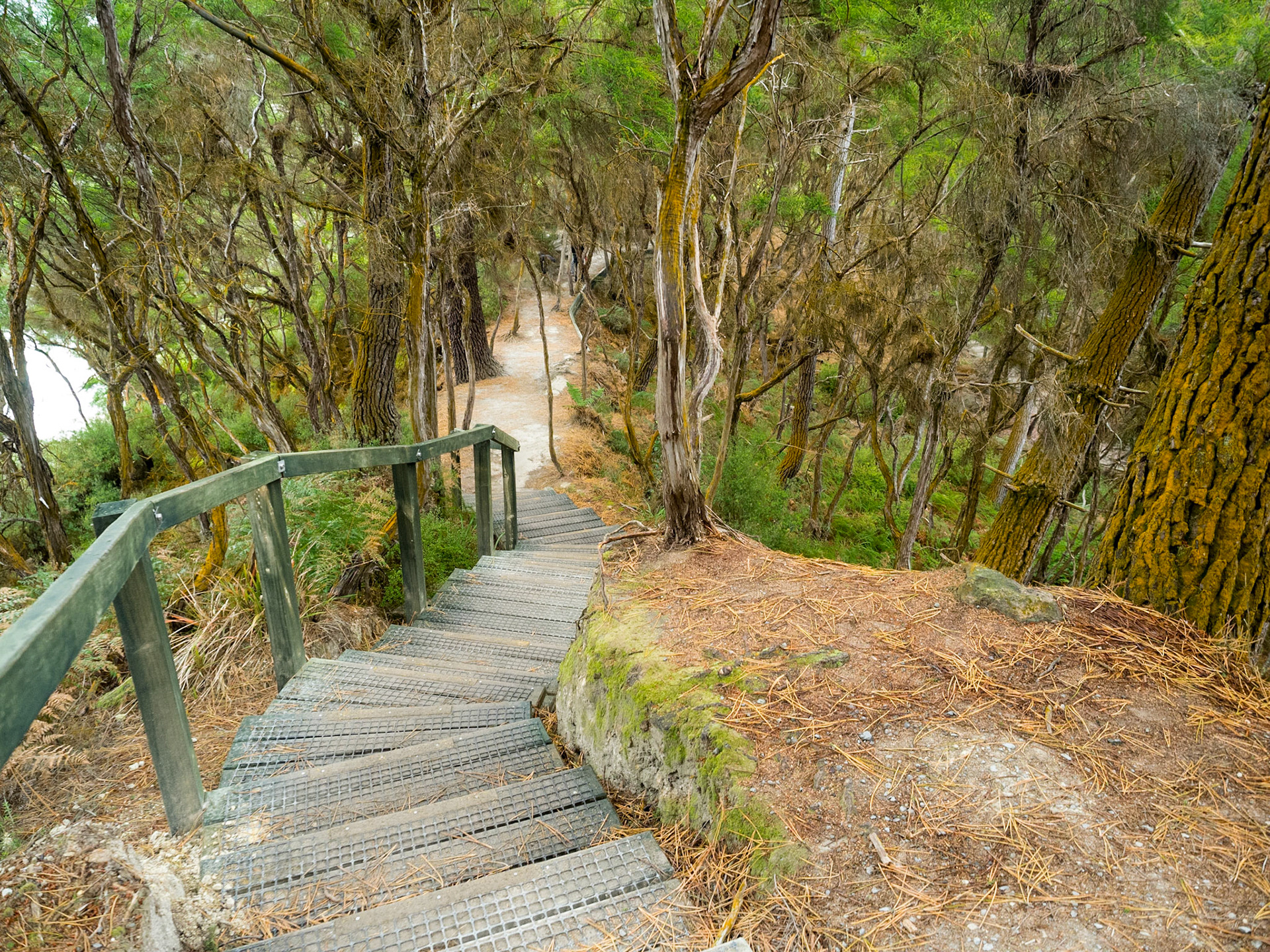 Waiotapu, parc "volcanique" de sources chaudes près de Roturora.