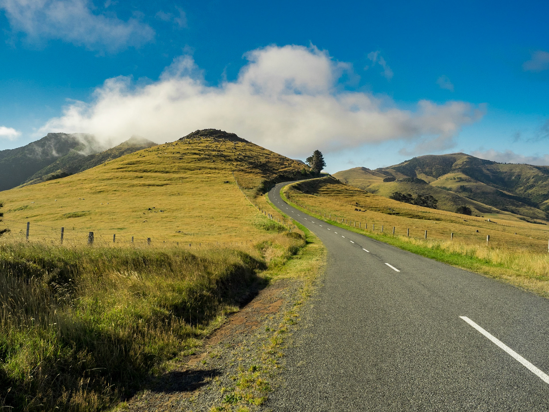 Akaroa, péninsule de Banks