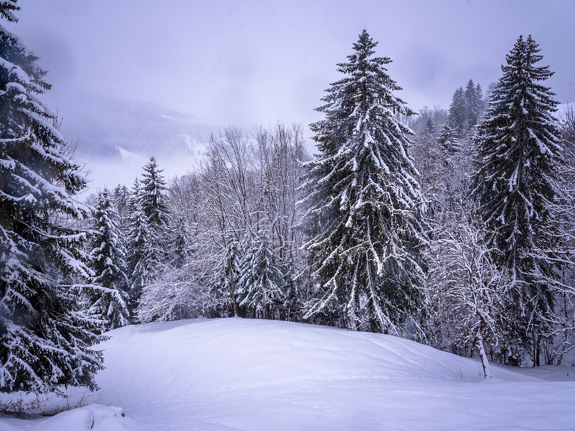 Le bonheur de la neige qui craque sous vos pas