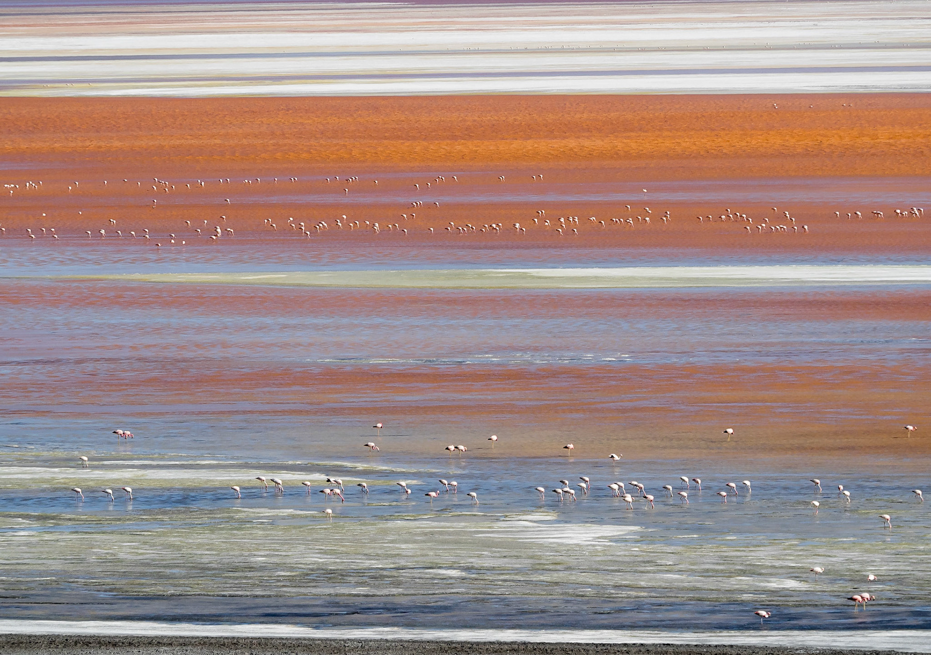 Sud Lipez, entre Uyuni et le Chili.