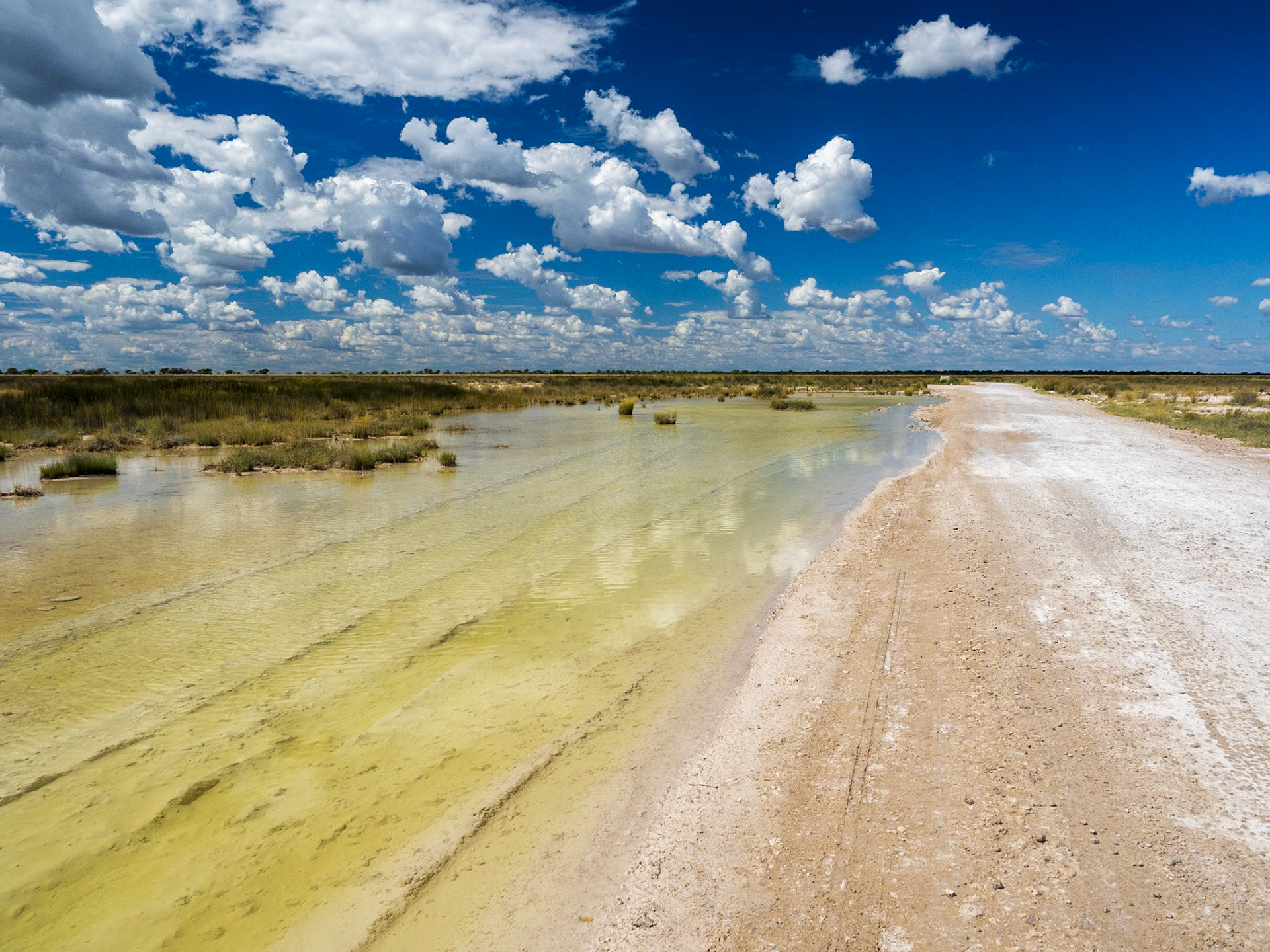 Sur le grand plan d'eau d'Etosha National Park