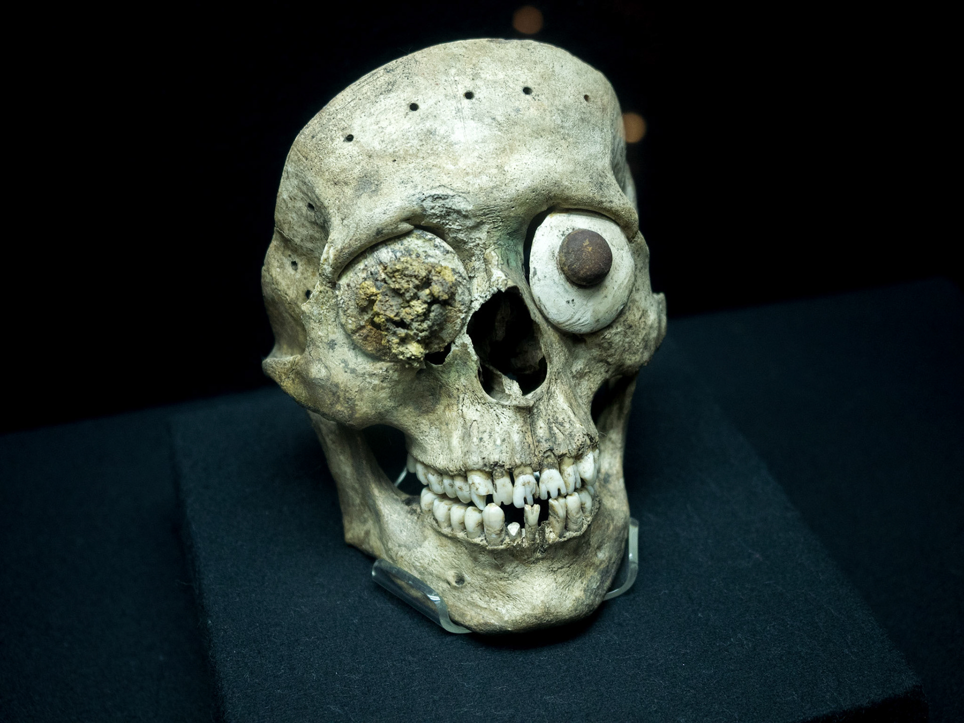 Notez les scarifications.