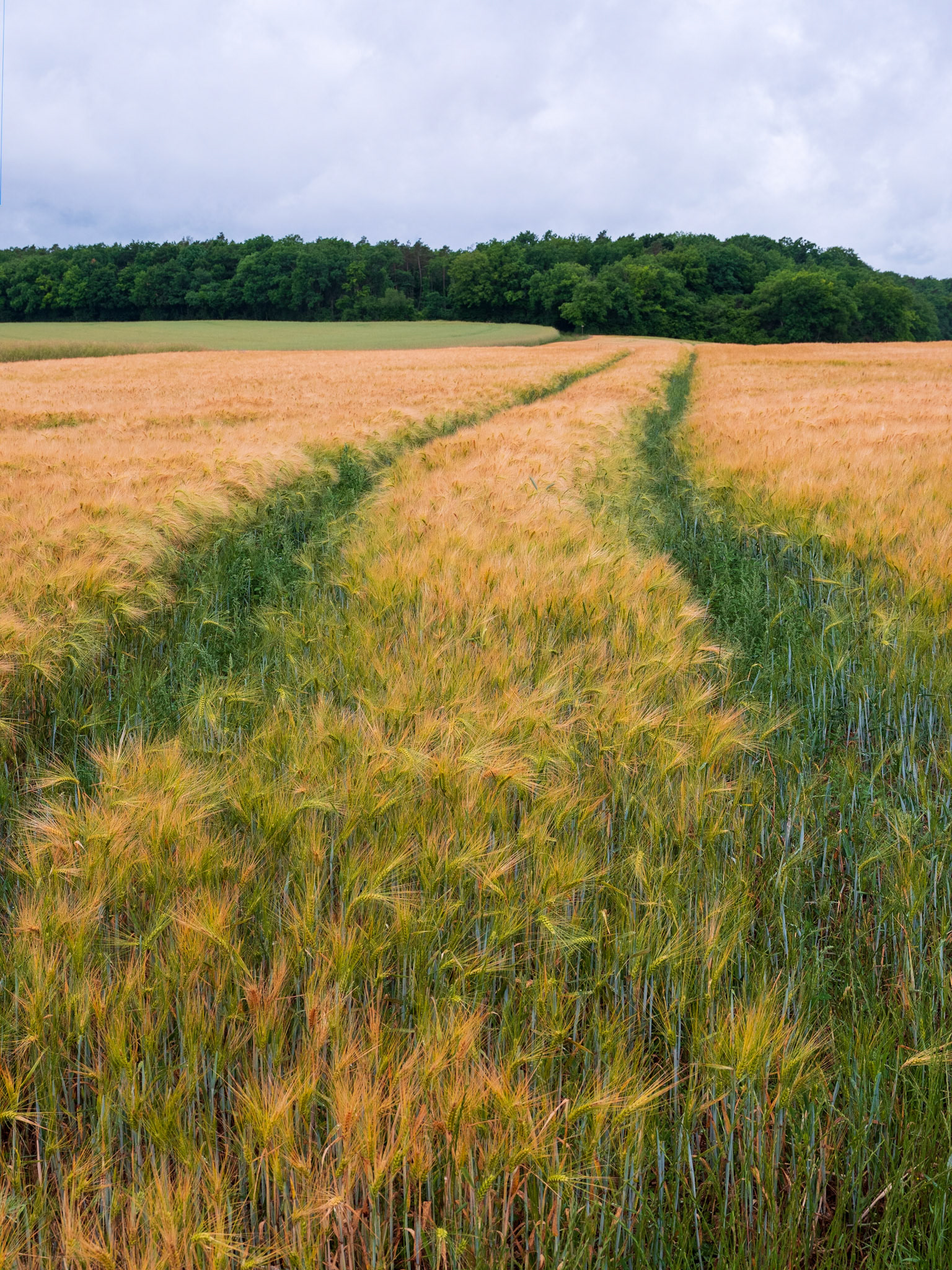 AgriGRaphisme