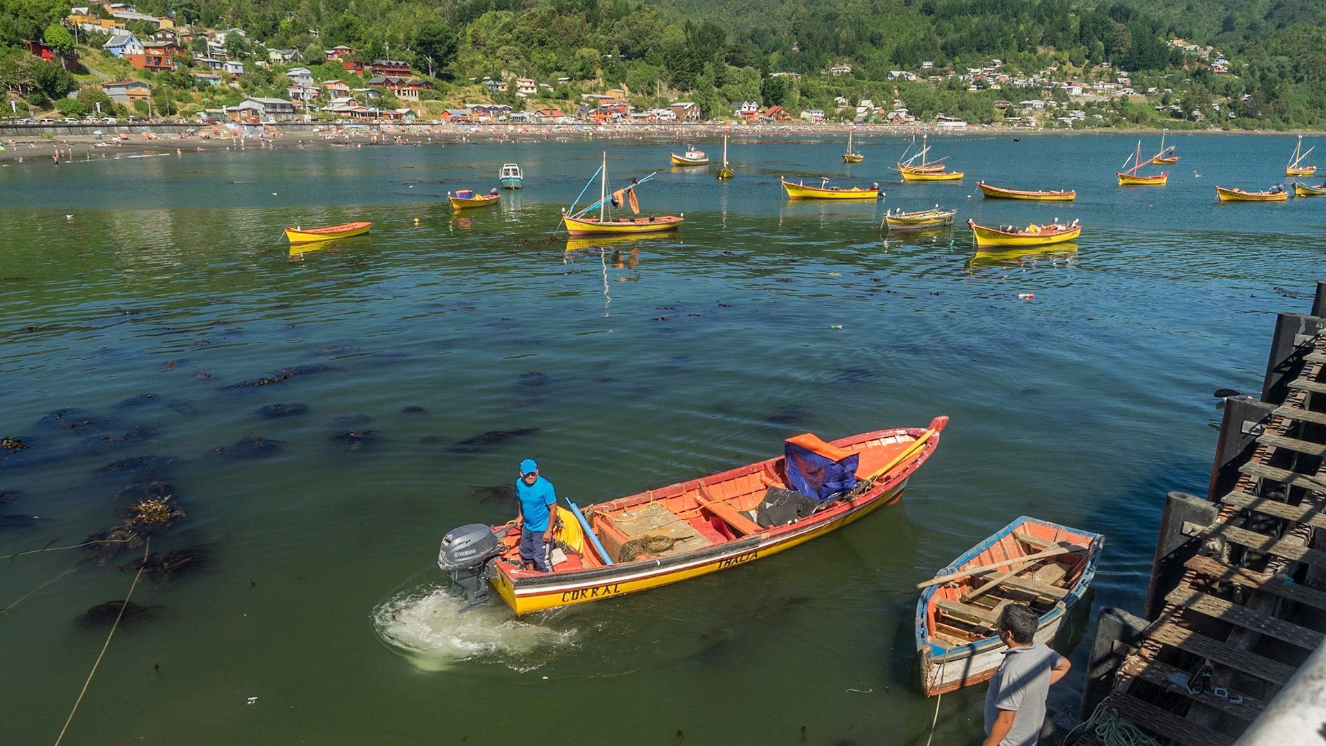 Près de Valdivia, beaucoup de chiliens et d'argentins viennent en vacances. Plage, eau froide, pêche au crabe, fruits de mers...