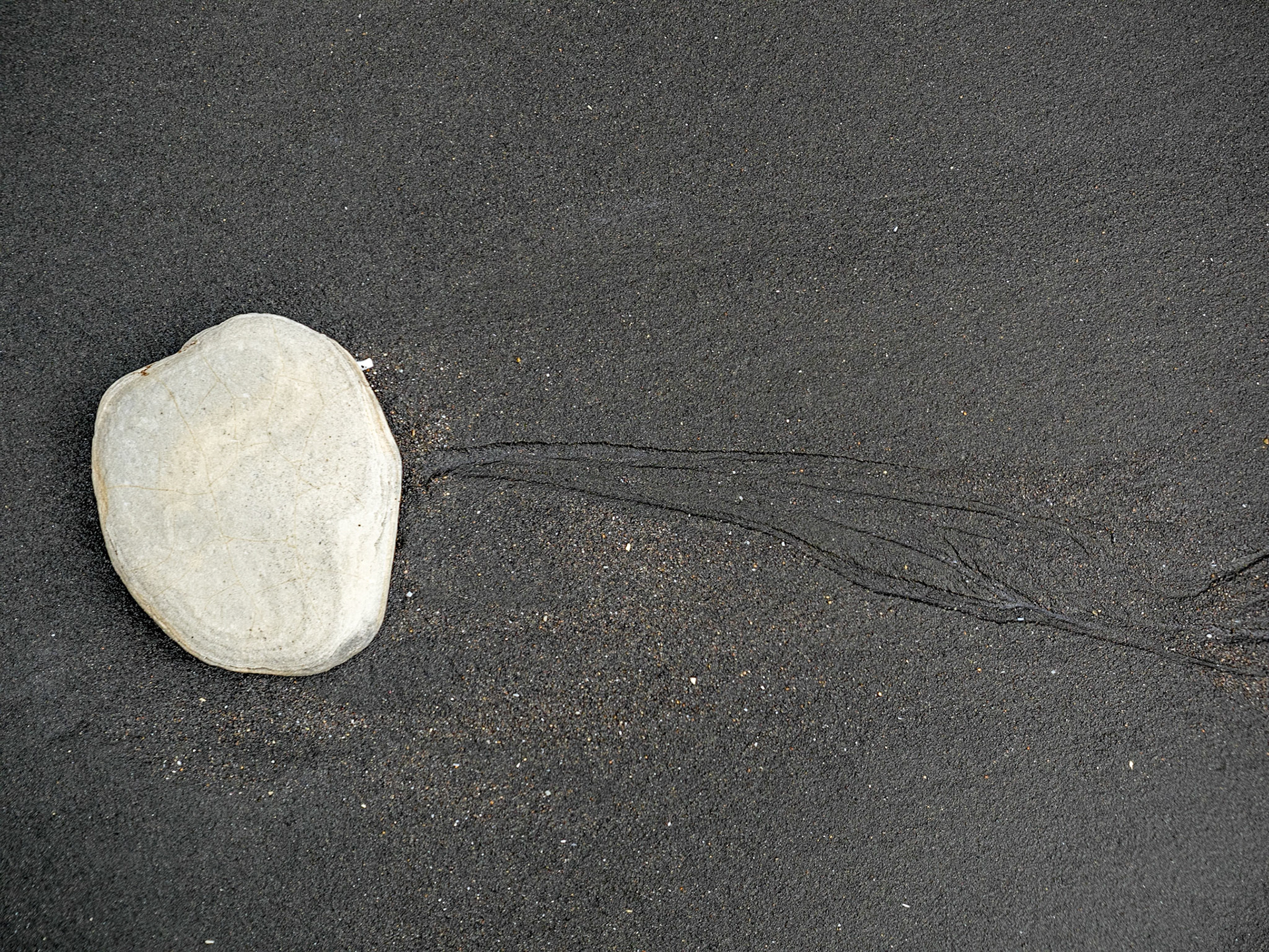 La comète de Waikawau !