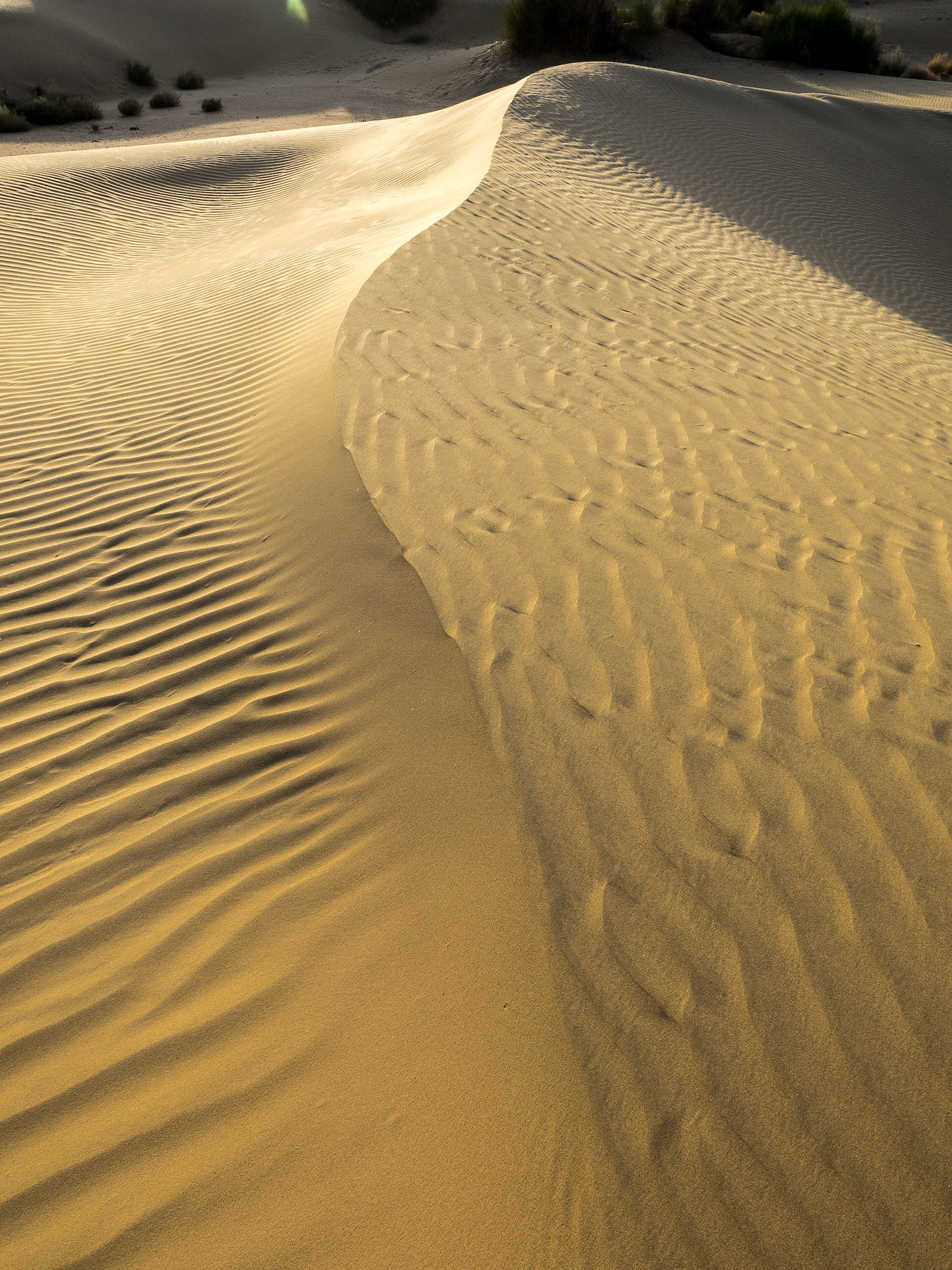 Entité graphique, mobile d'heure en heure, rien de moins éphémère, à part un tweet peut être.