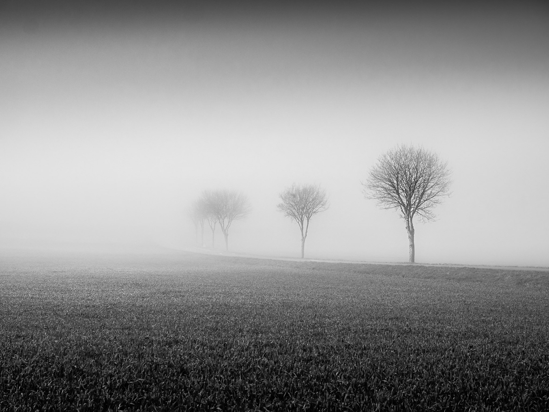 La brume pour la nouvelle année