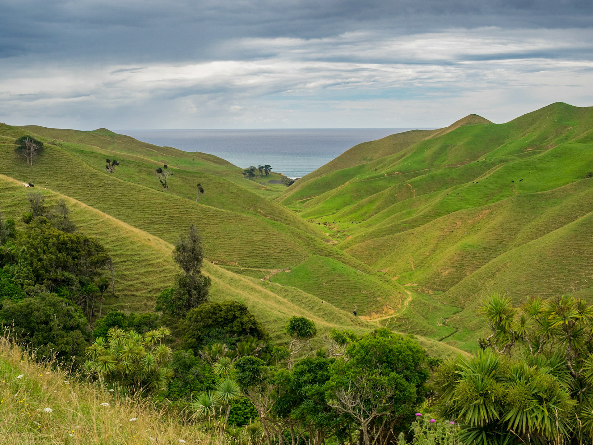 Ca y est, on voit la mer !