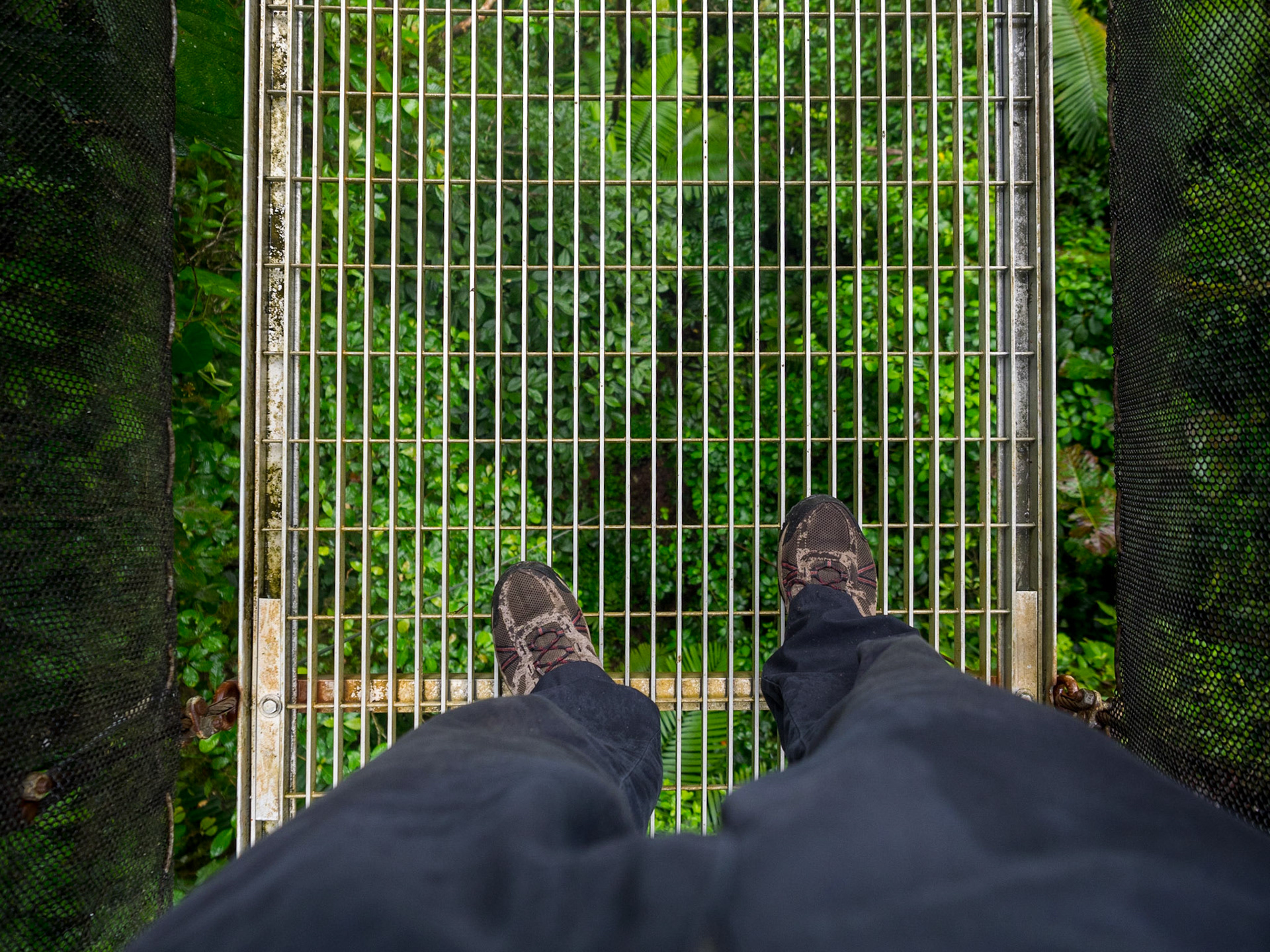Ne pas avoir le vertige !
Hanging Bridges, Arenal
