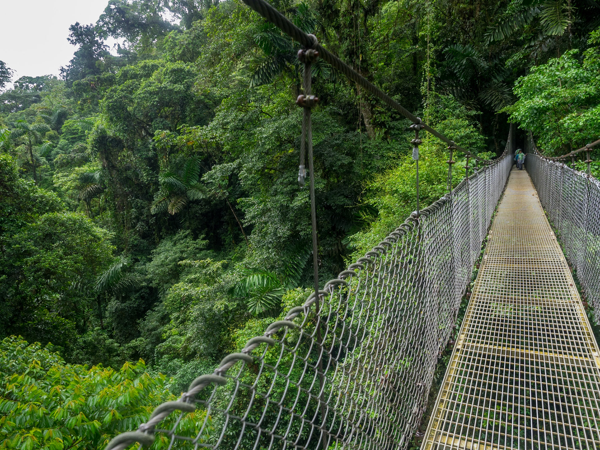 Endroit certes touristique, mais quand il pleut des cordes, l'ambiance d'amazonie est bien présente.