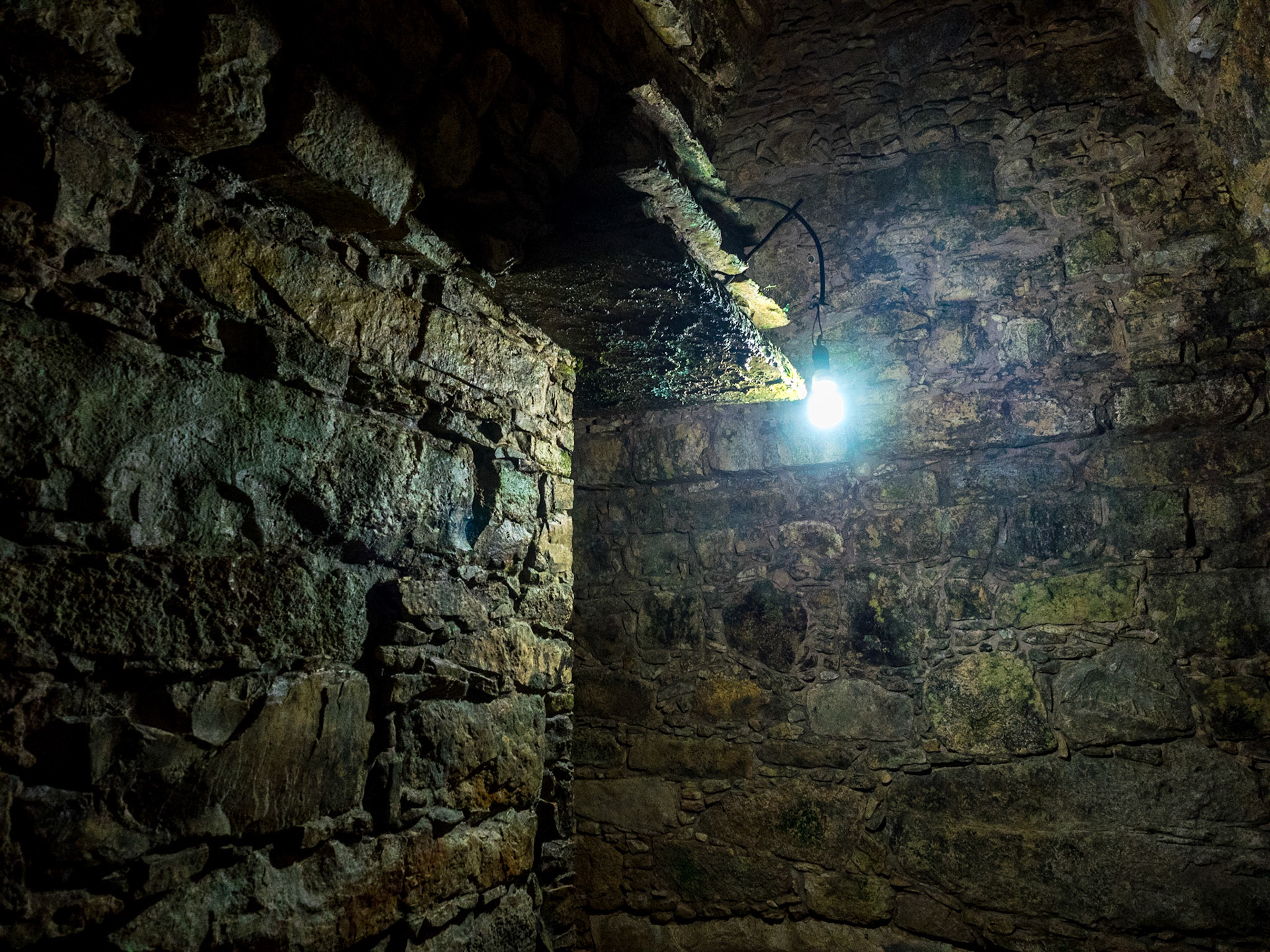 Laissez vous perdre dans les couloirs cachés de Palenque !