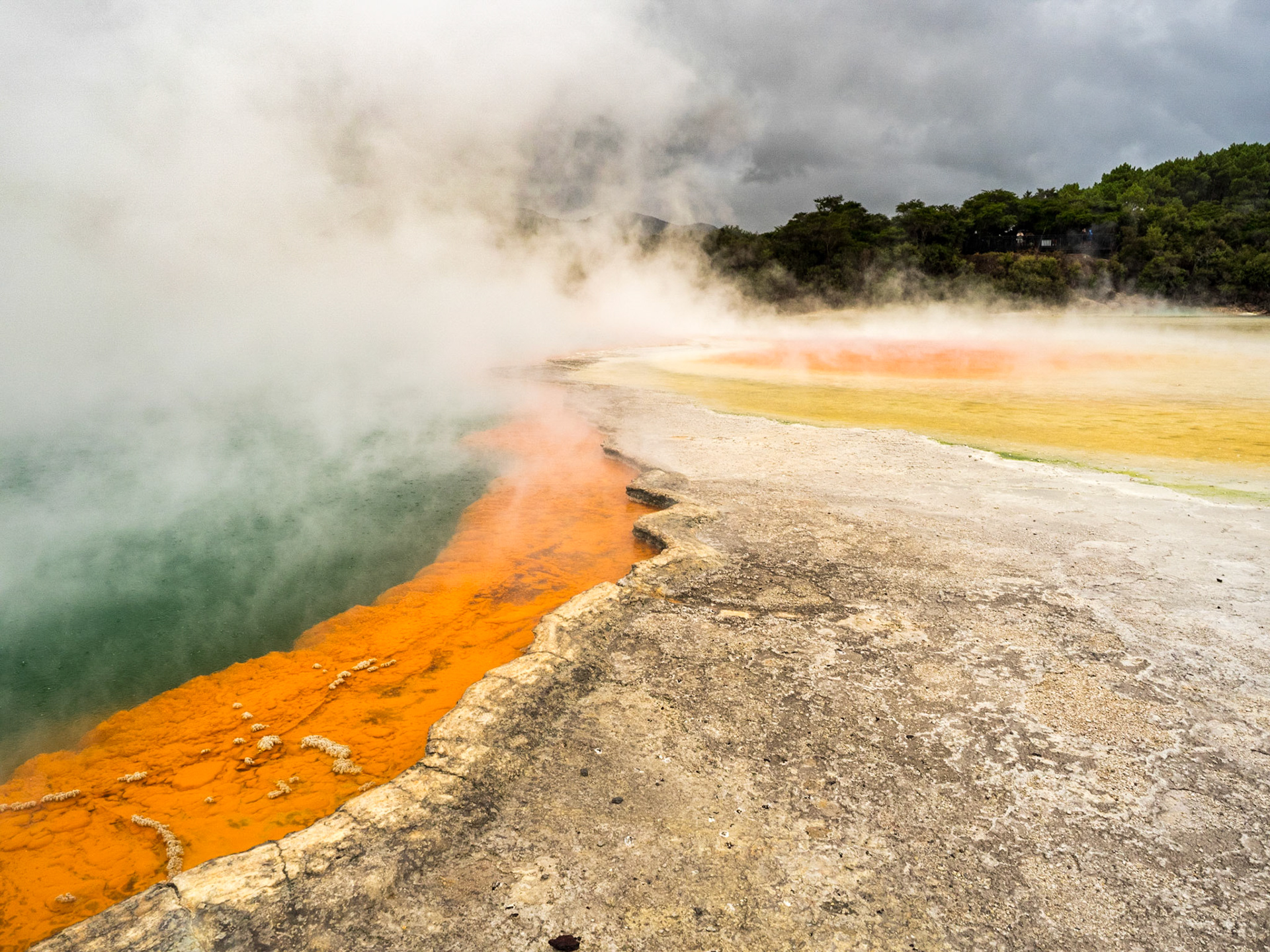 Waiotapu, parc "volcanique" de sources chaudes près de Roturora.