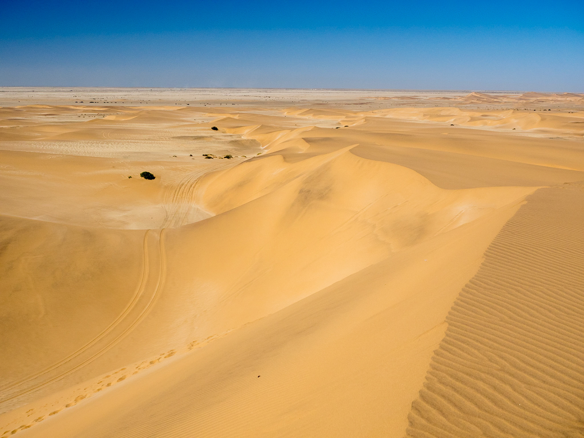 Dune 7, Swakopmund
Malheureusement, nous n'avons pas pu aller à Sandwich Harbour, voiture en panne !
