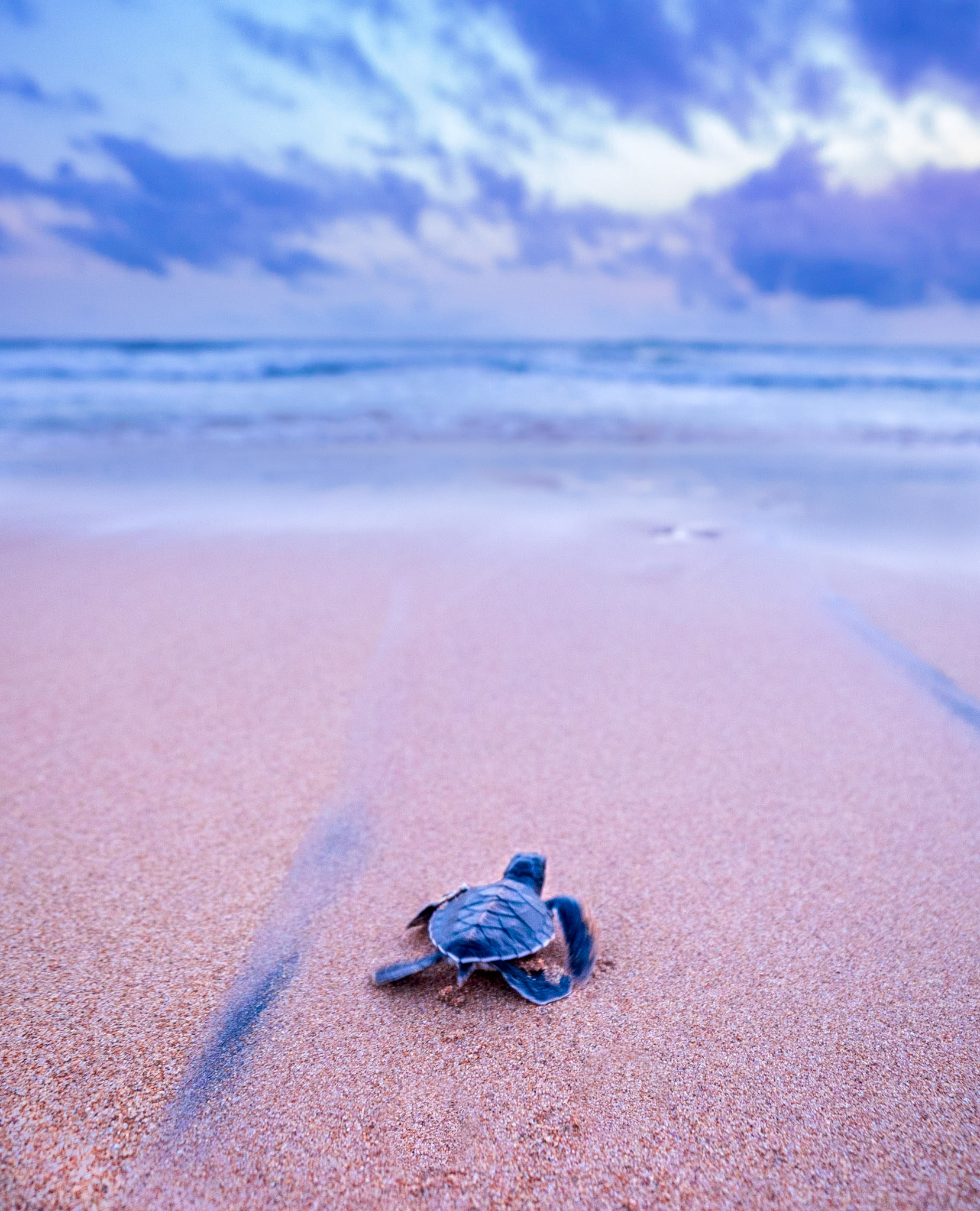 Tangalle Beach, Sri Lanka