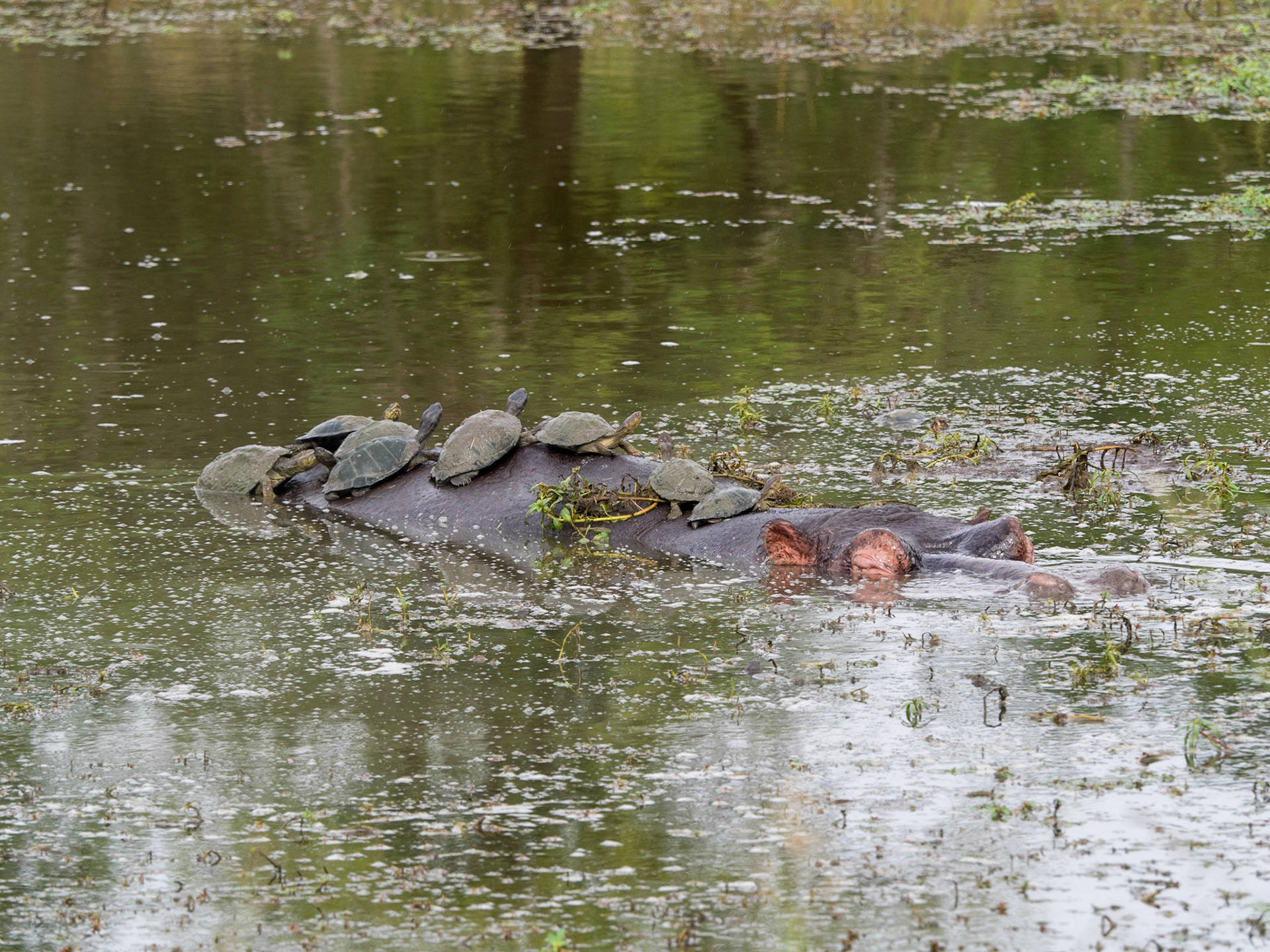 Kruger National Park