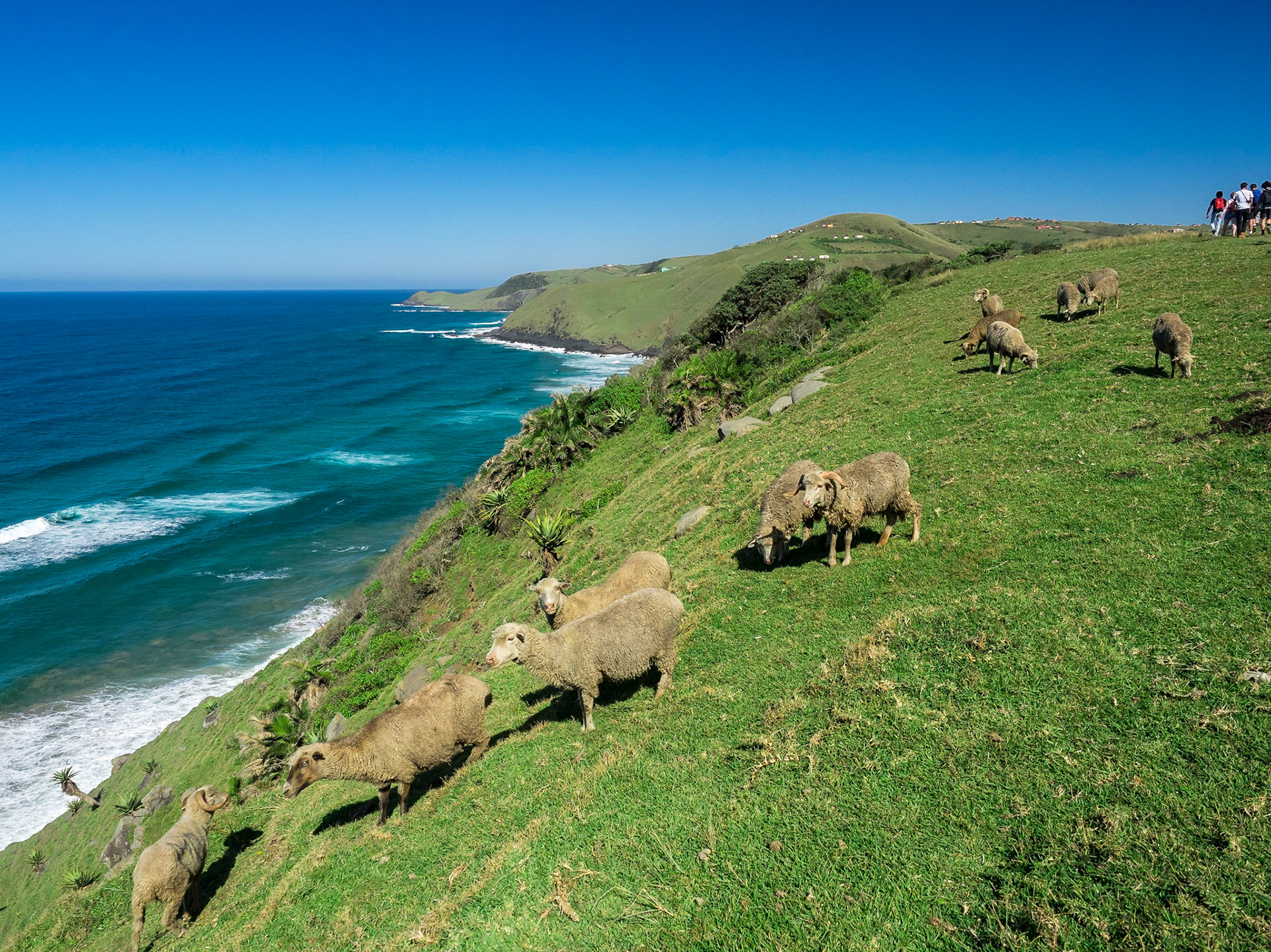 Coffee Bay, sur le chemin côtier vers Hole in the Wall