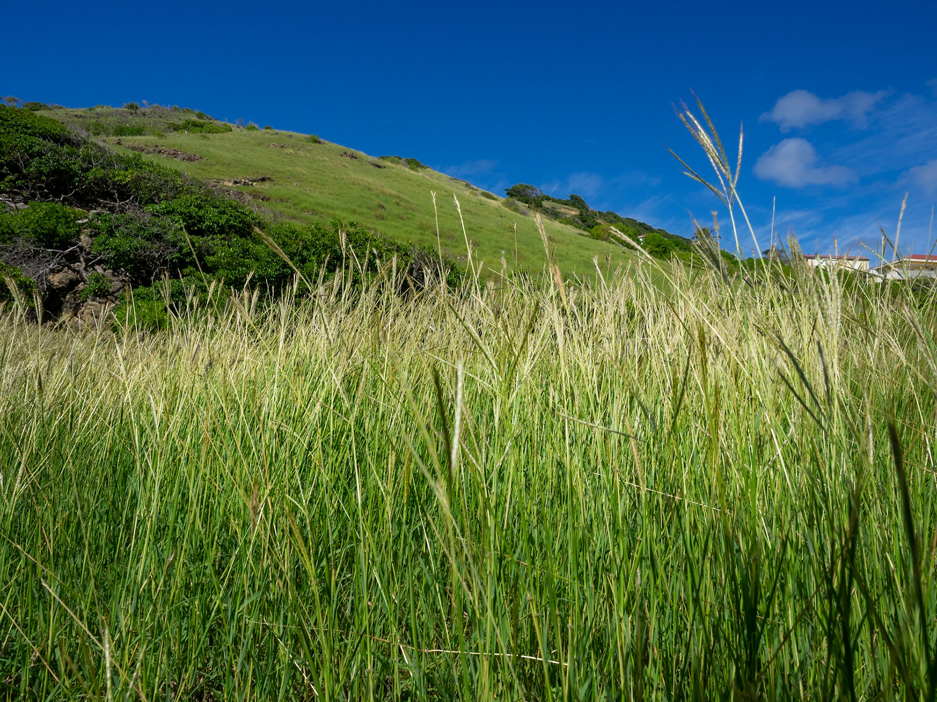 Guadeloupe